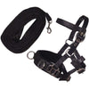 HKM Hobby Horsing Lunging Set Black
