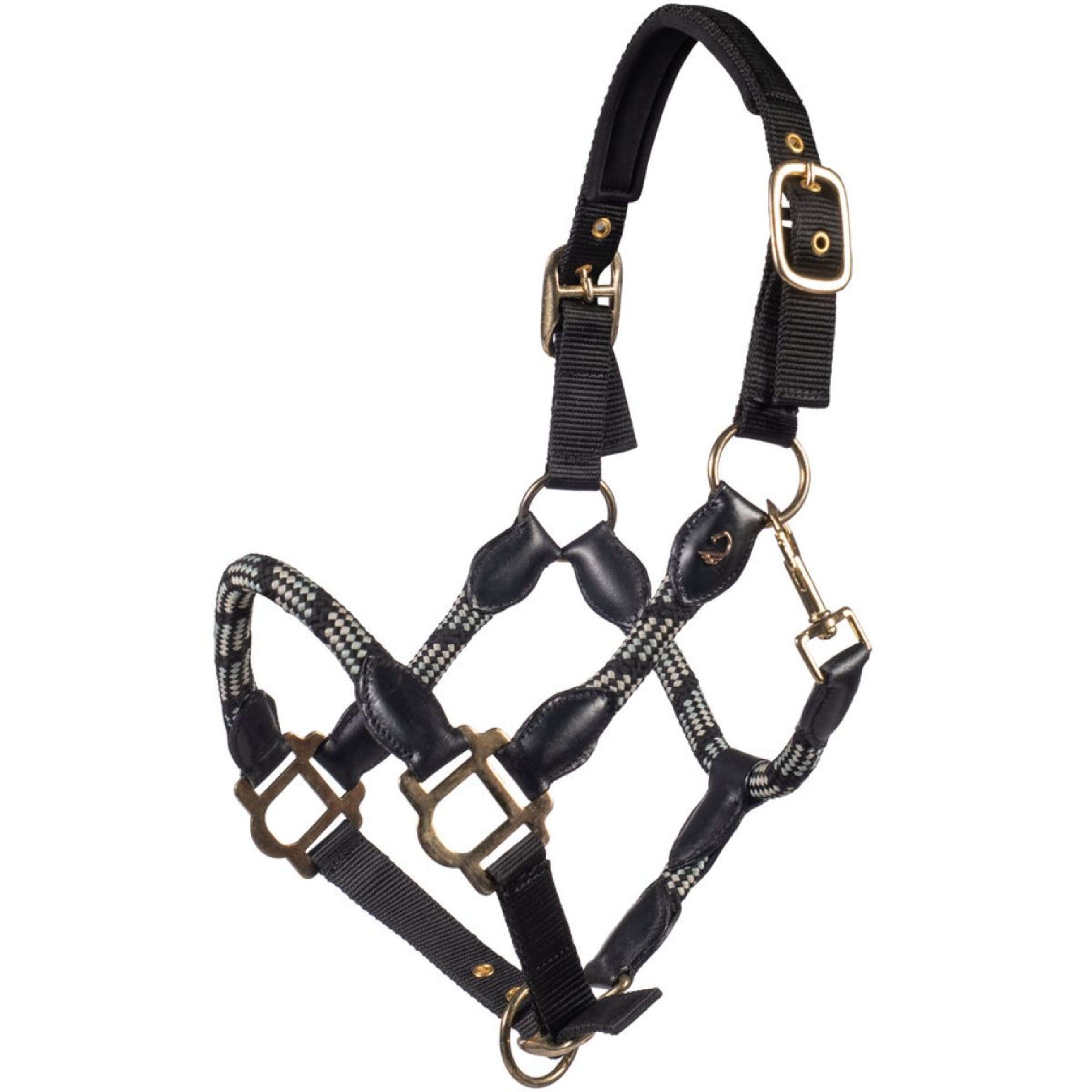 Lauria Garrelli Halter Limone Sportive Black