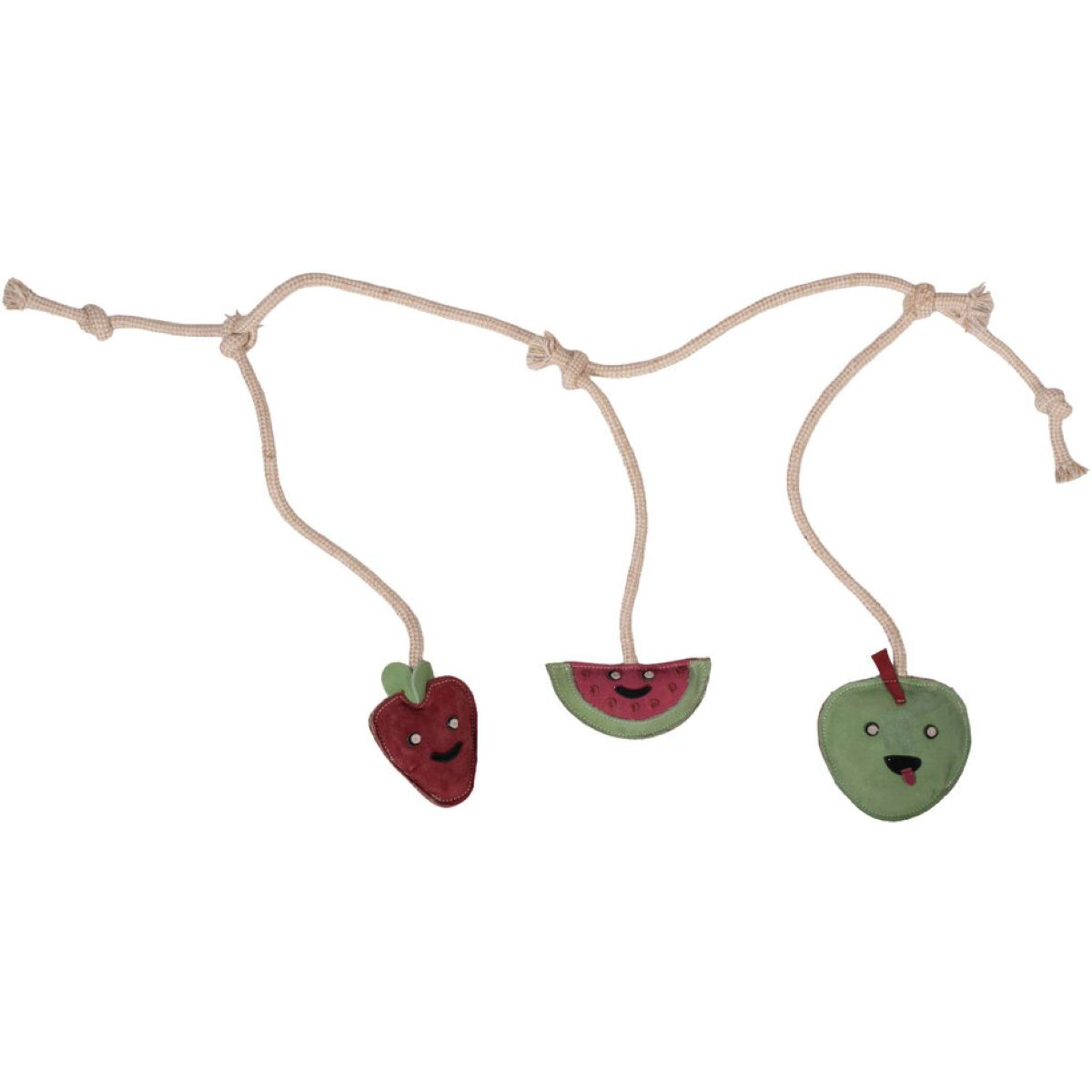 HKM Toys Fruit