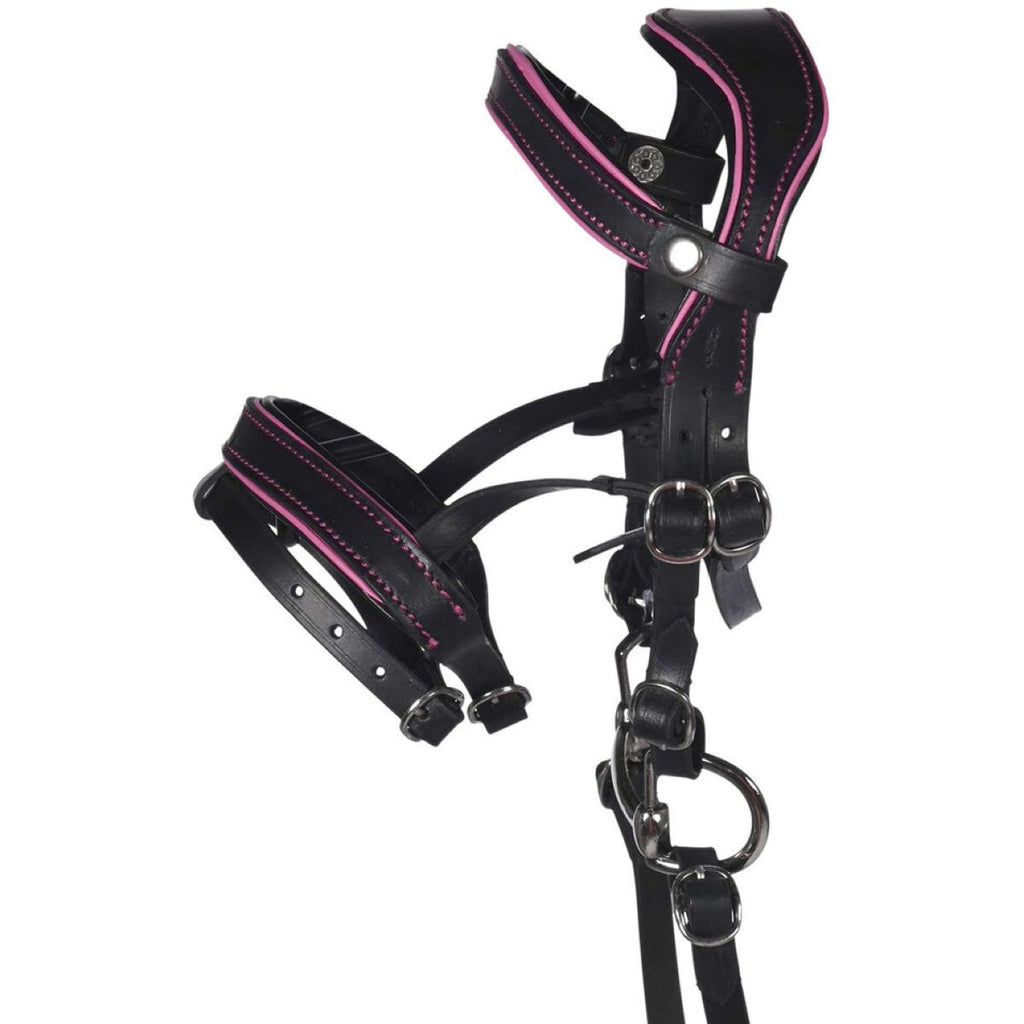 HKM Hobby Horsing Bridle Black/Pink