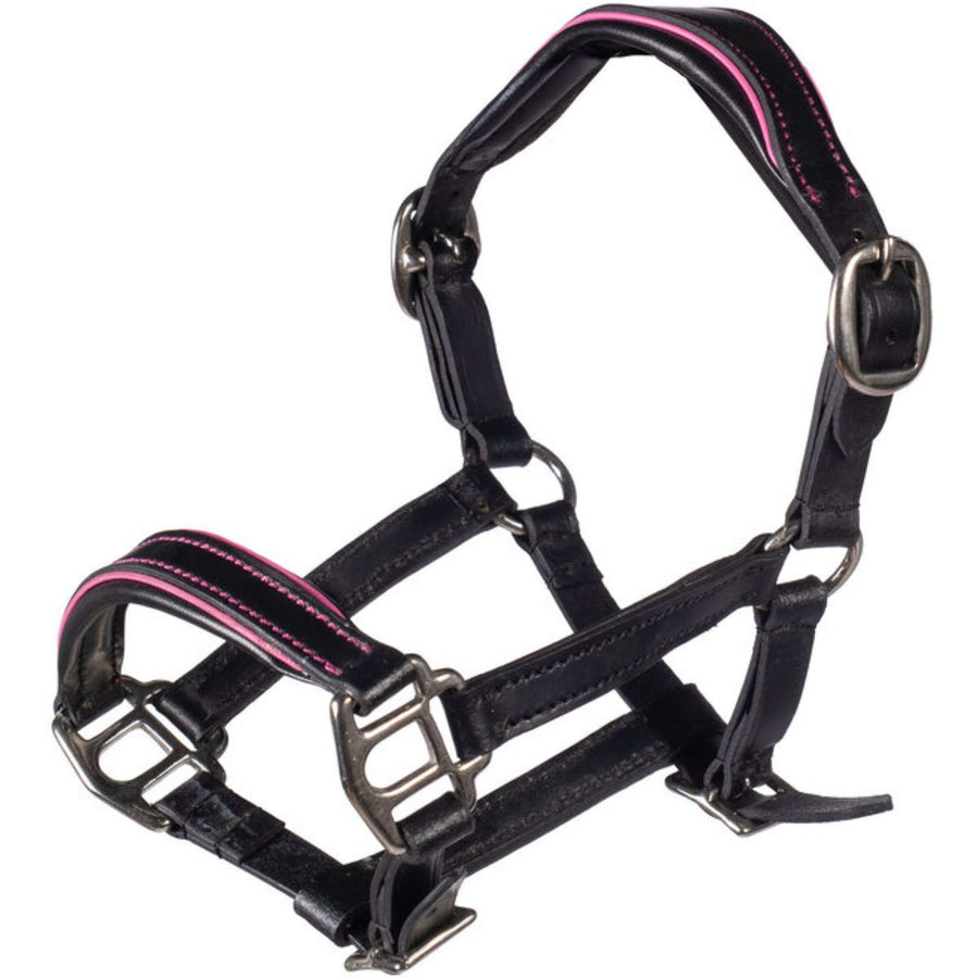 HKM Hobby Horsing Leather Halter Black/Pink