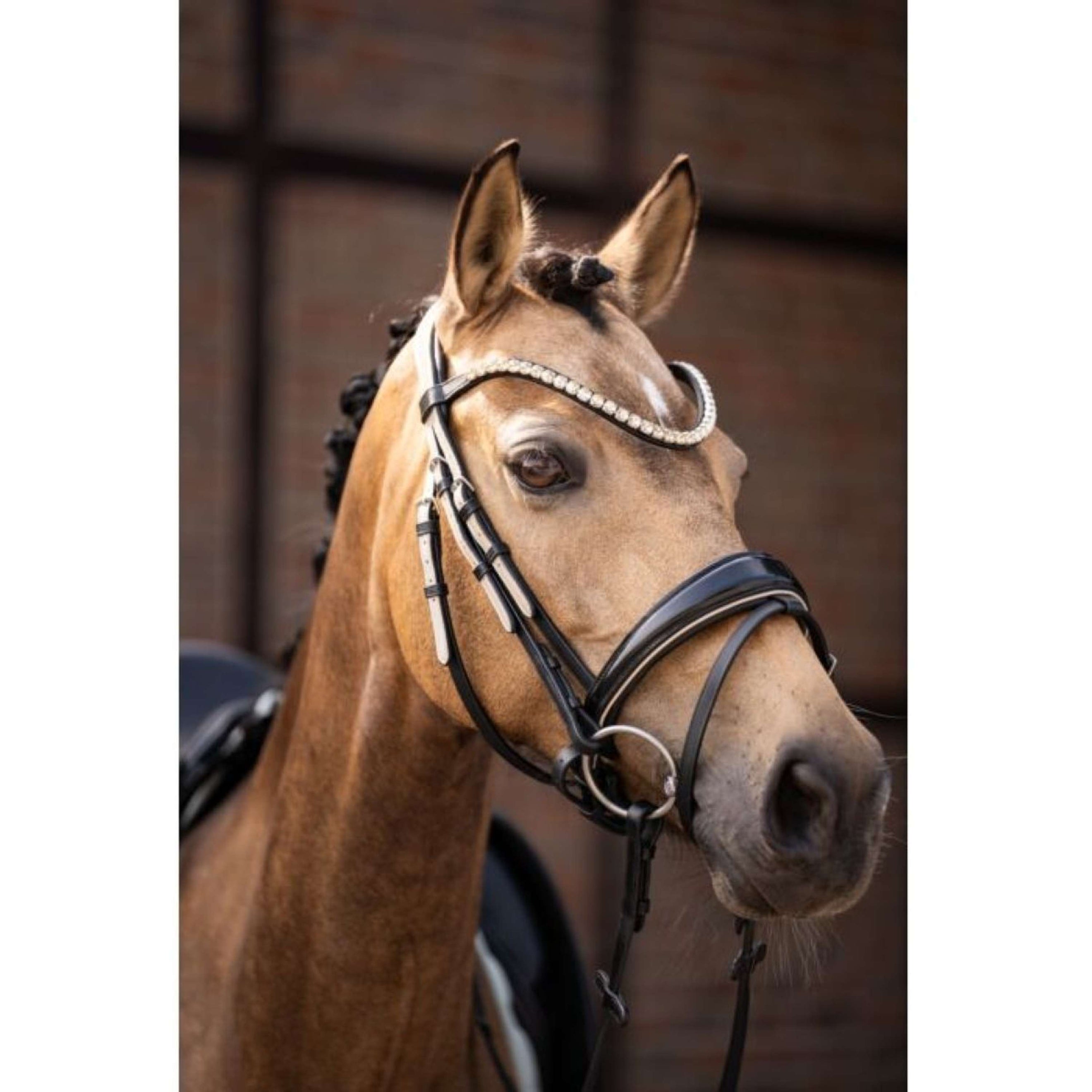 Lauria Garrelli Bridle Limone Elegant Black/Beige Lauria Garrelli Bridle Limone Elegant Black/Beige