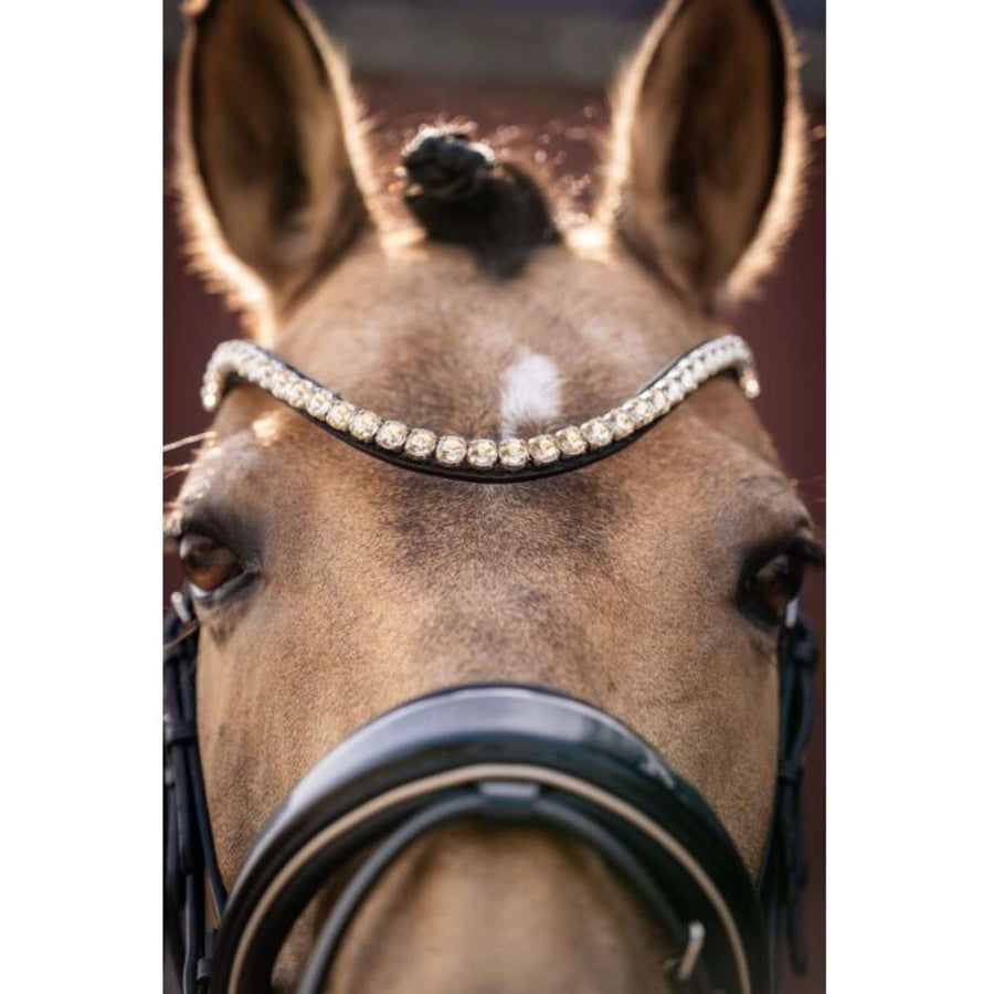 Lauria Garrelli Bridle Limone Elegant Black/Beige