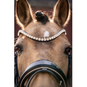 Lauria Garrelli Bridle Limone Elegant Black/Beige