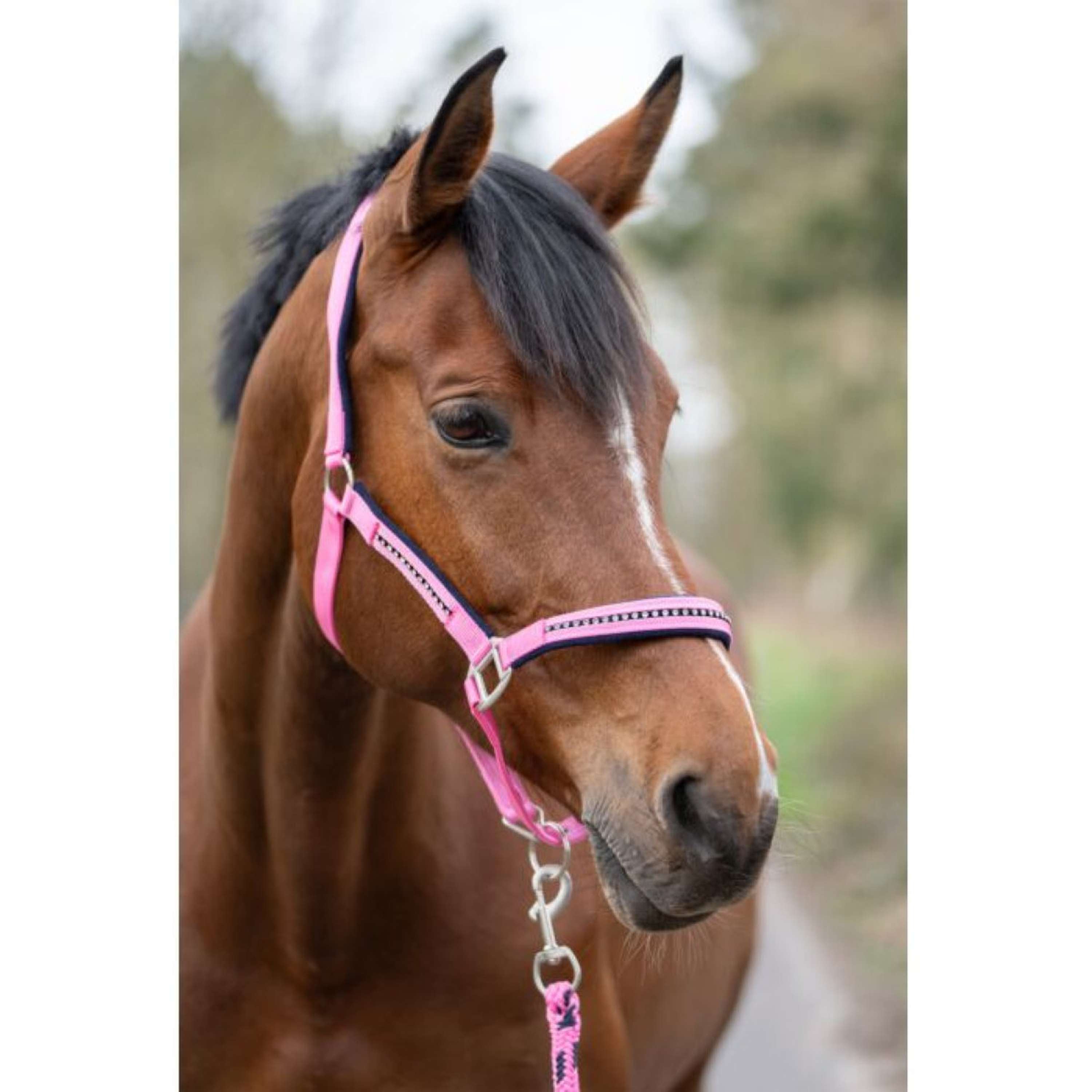HKM Halter Set Crys. Soft Paded Pink/Dark Blue