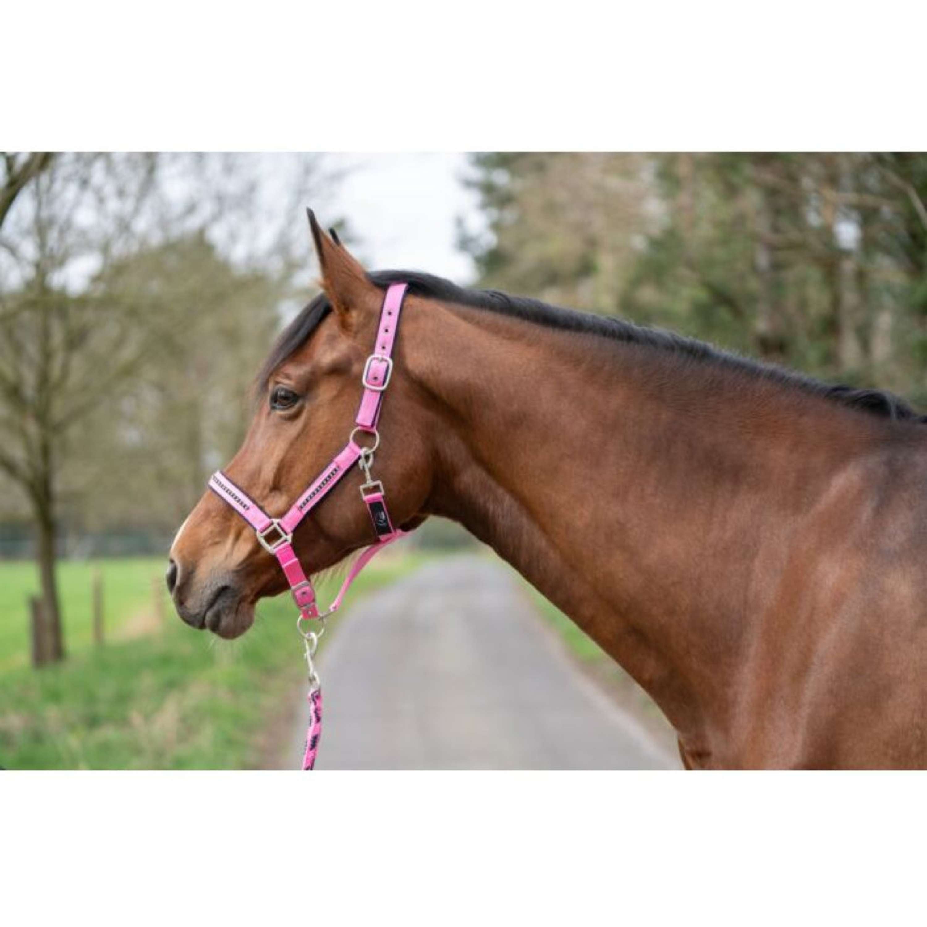 HKM Halter Set Crys. Soft Paded Pink/Dark Blue