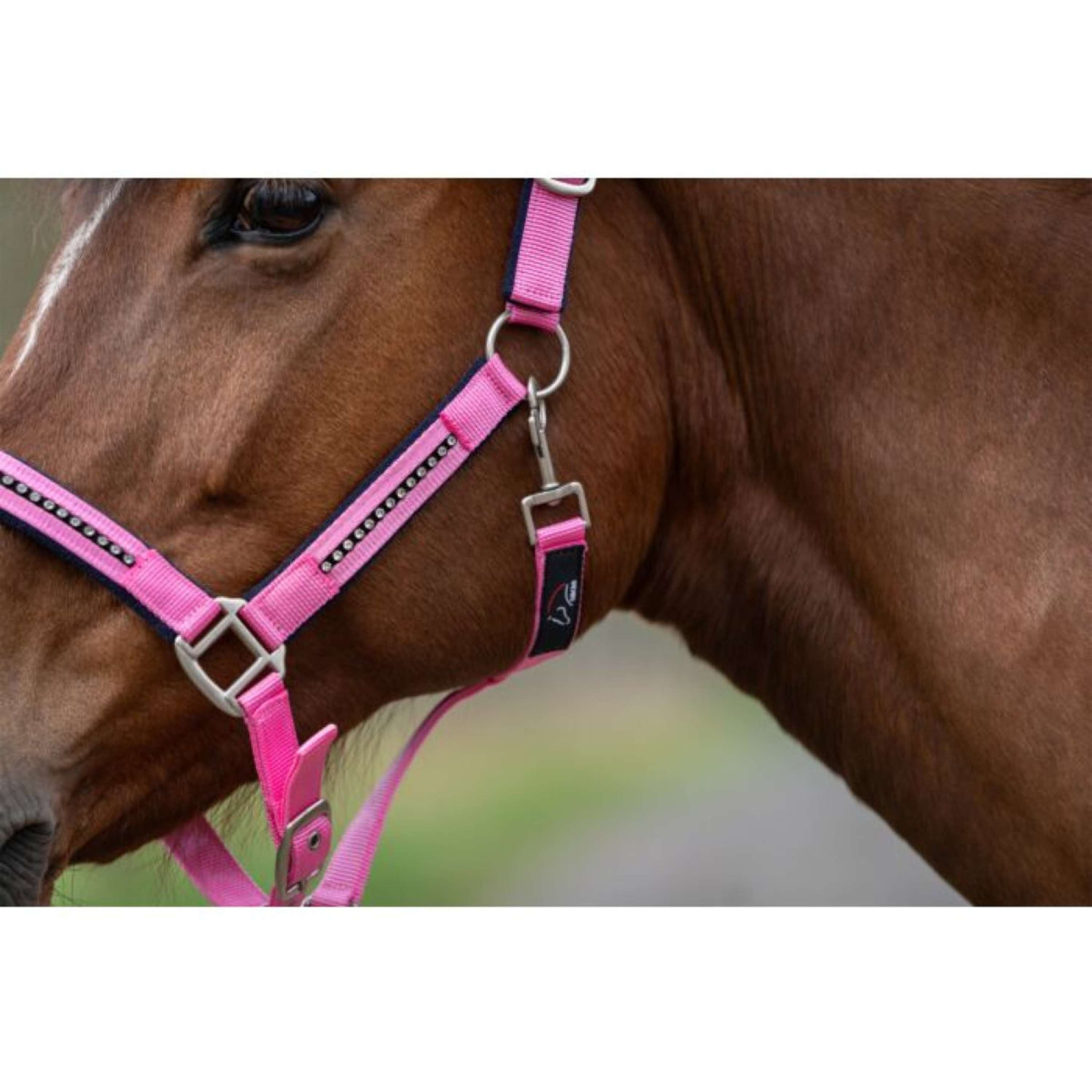 HKM Halter Set Crys. Soft Paded Pink/Dark Blue