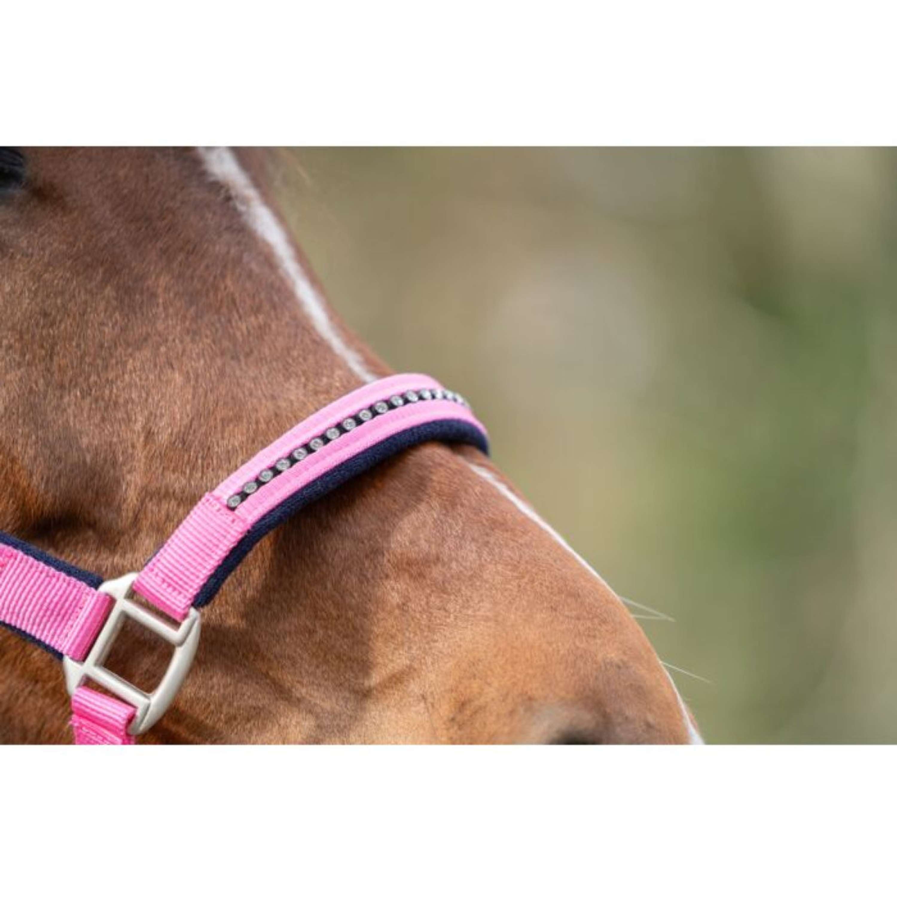 HKM Halter Set Crys. Soft Paded Pink/Dark Blue