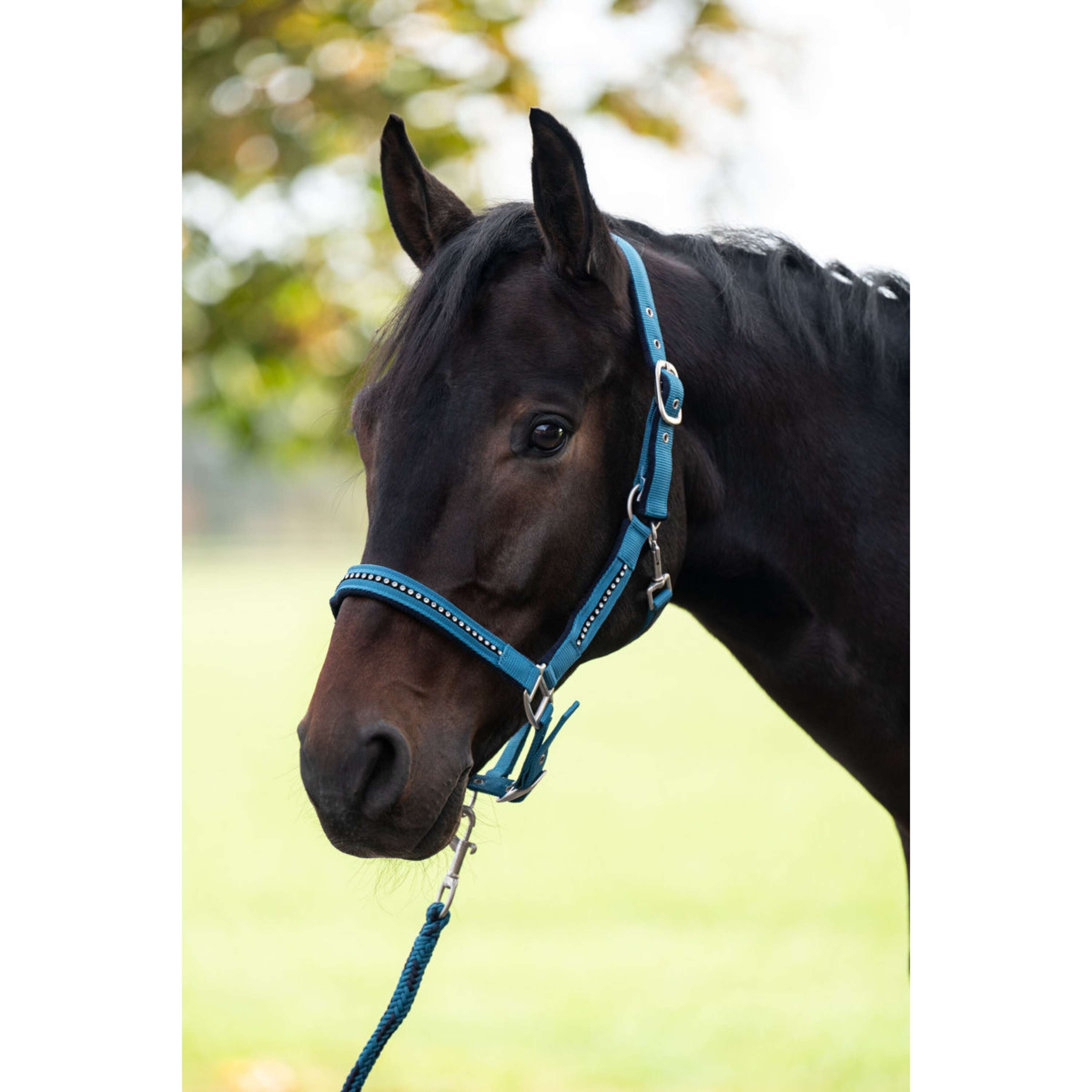 HKM Halter Set Crys. Soft Paded Petrol/navy