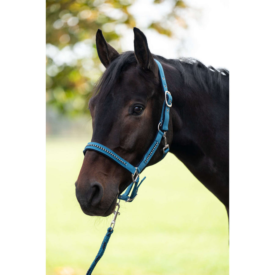 HKM Halter Set Crys. Soft Paded Petrol/navy
