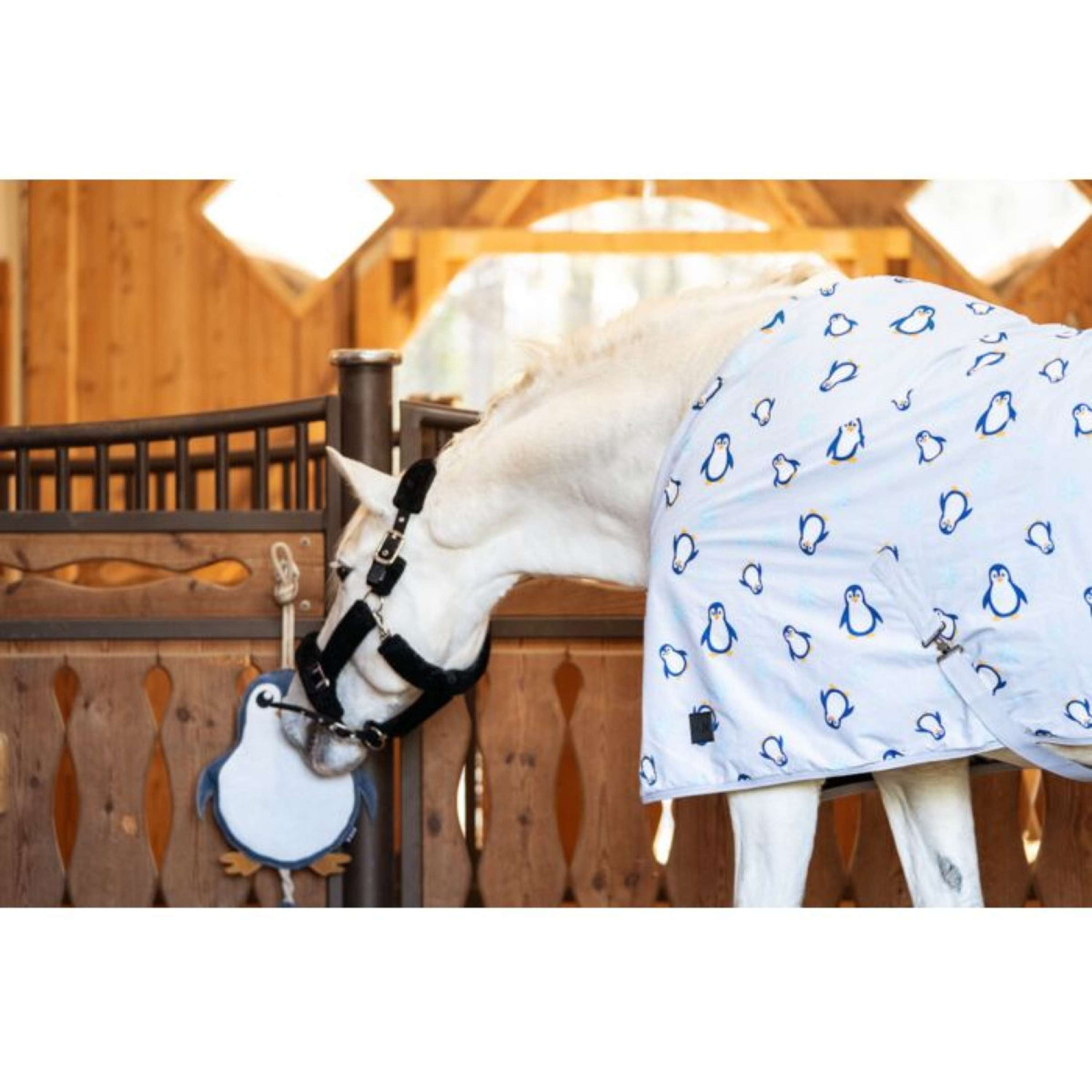 HKM Cooler Rug Pinguïn Grey/Blue