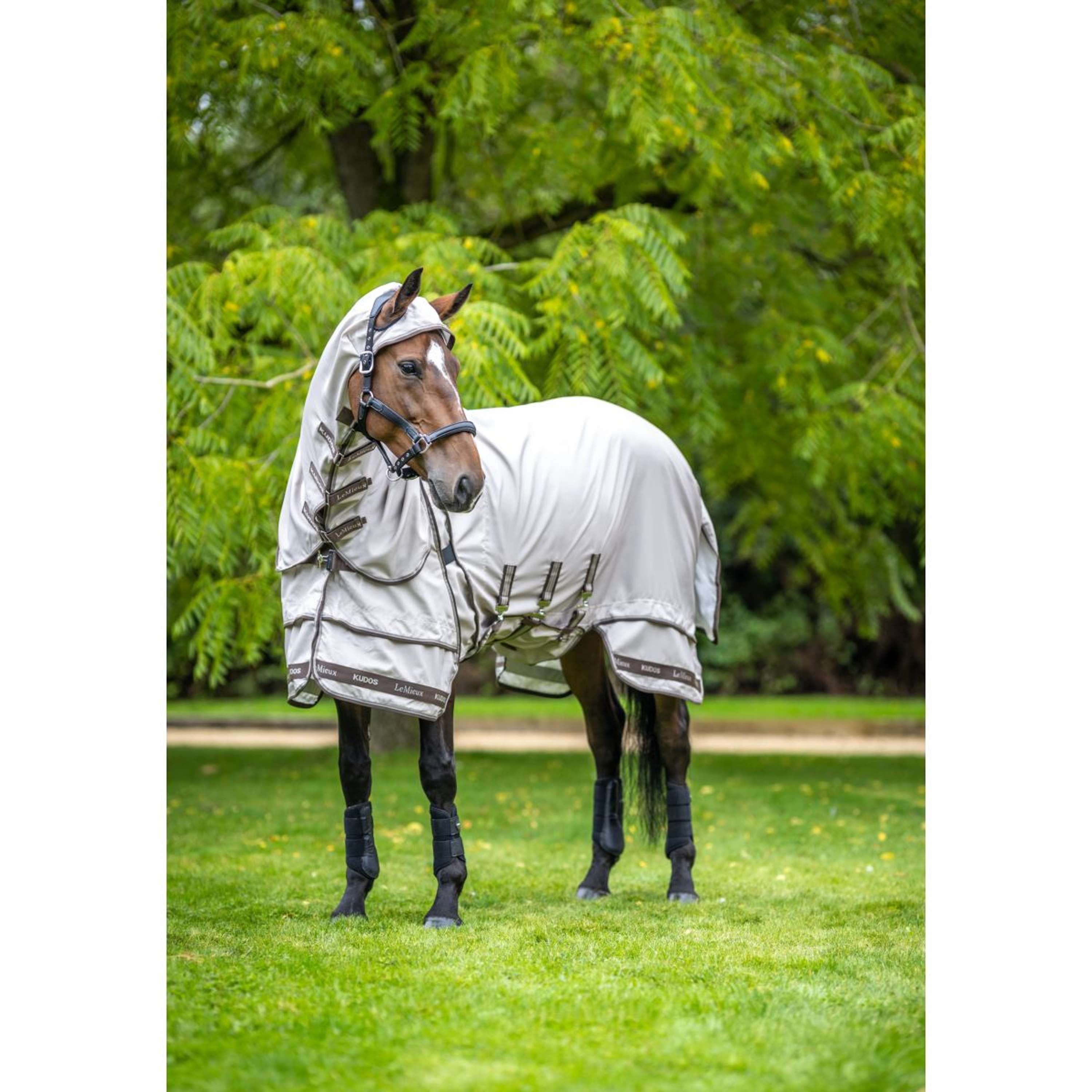 LeMieux Eczema Rug Kudos Sweet Itch SS26 Stone