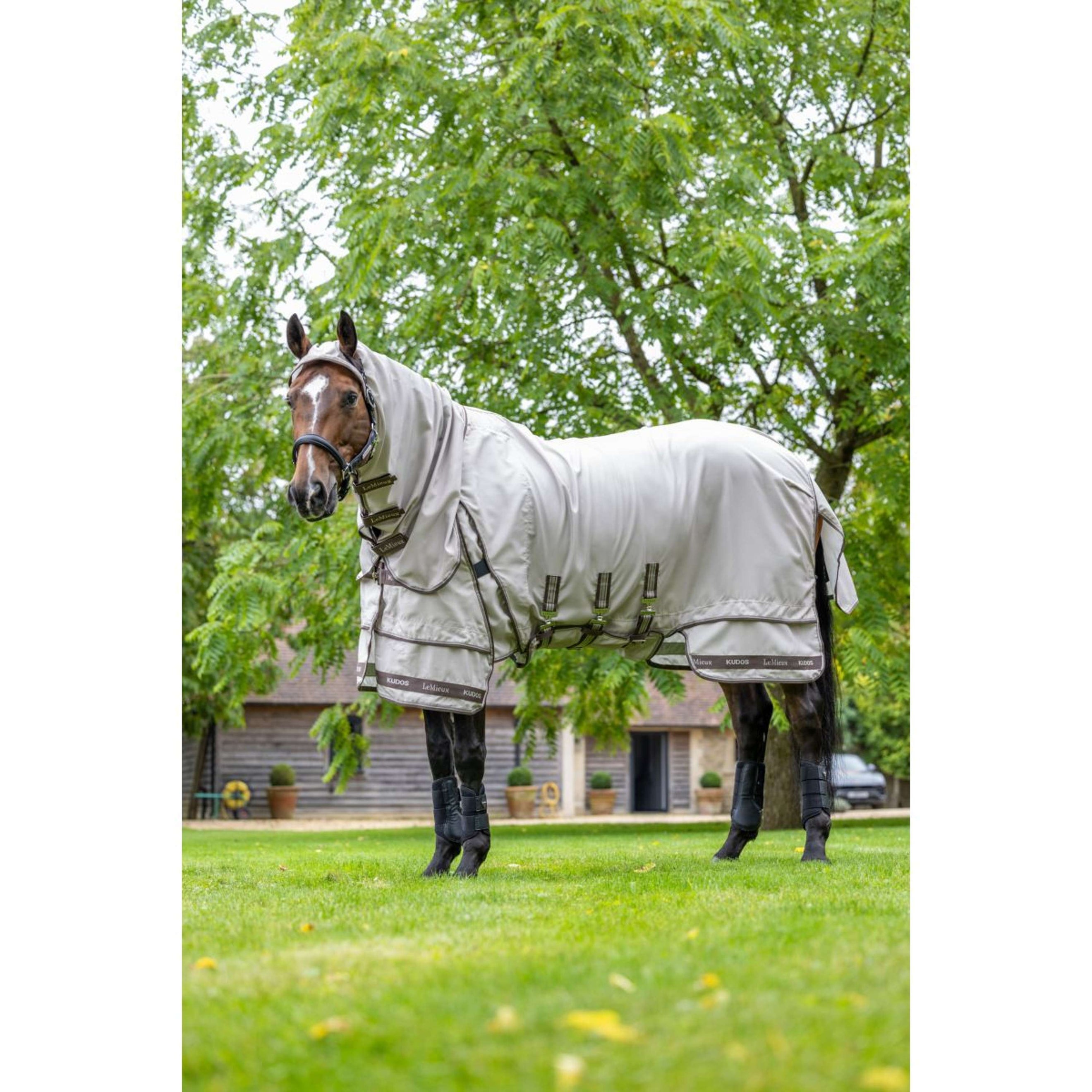 LeMieux Eczema Rug Kudos Sweet Itch SS26 Stone