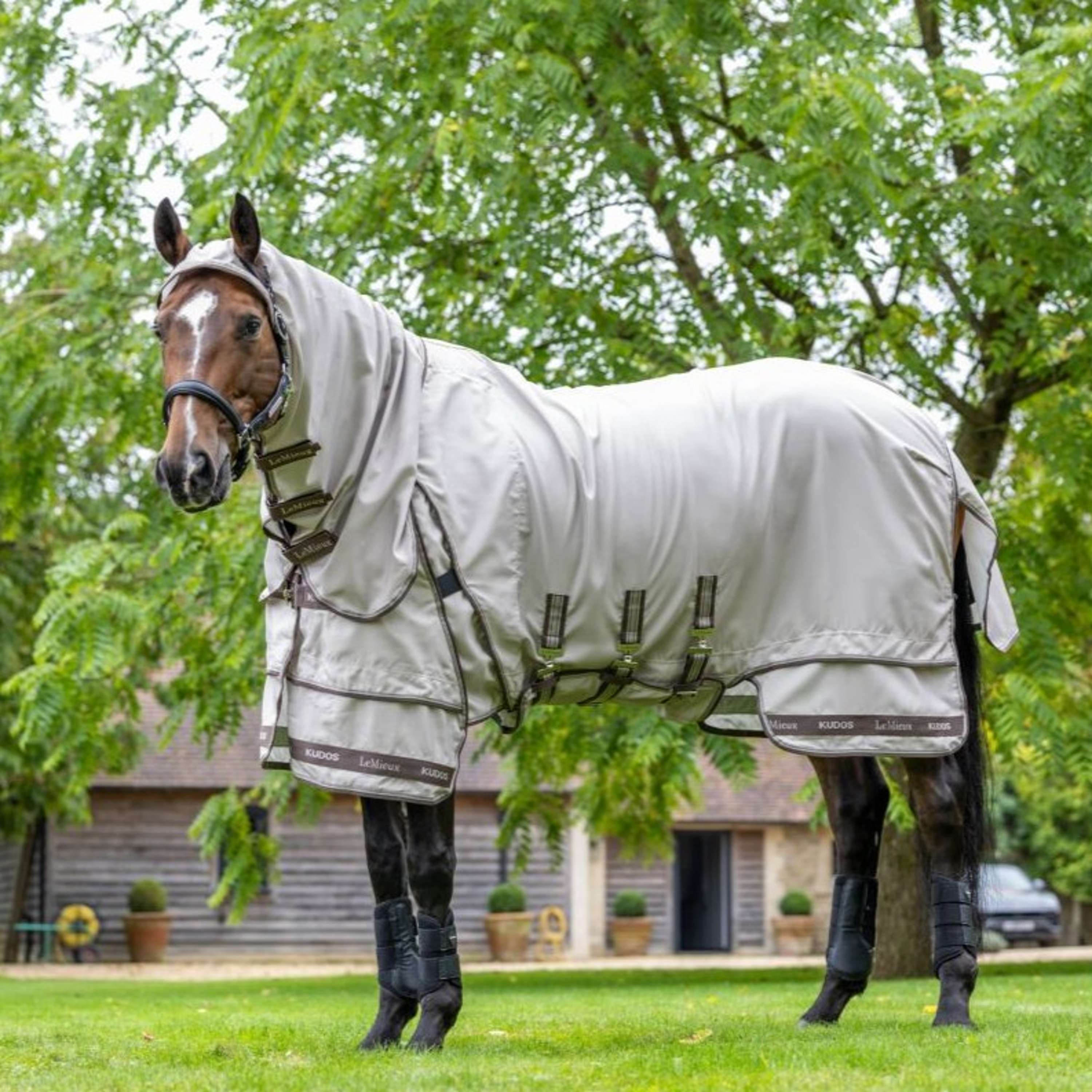LeMieux Eczema Rug Kudos Sweet Itch SS26 Stone