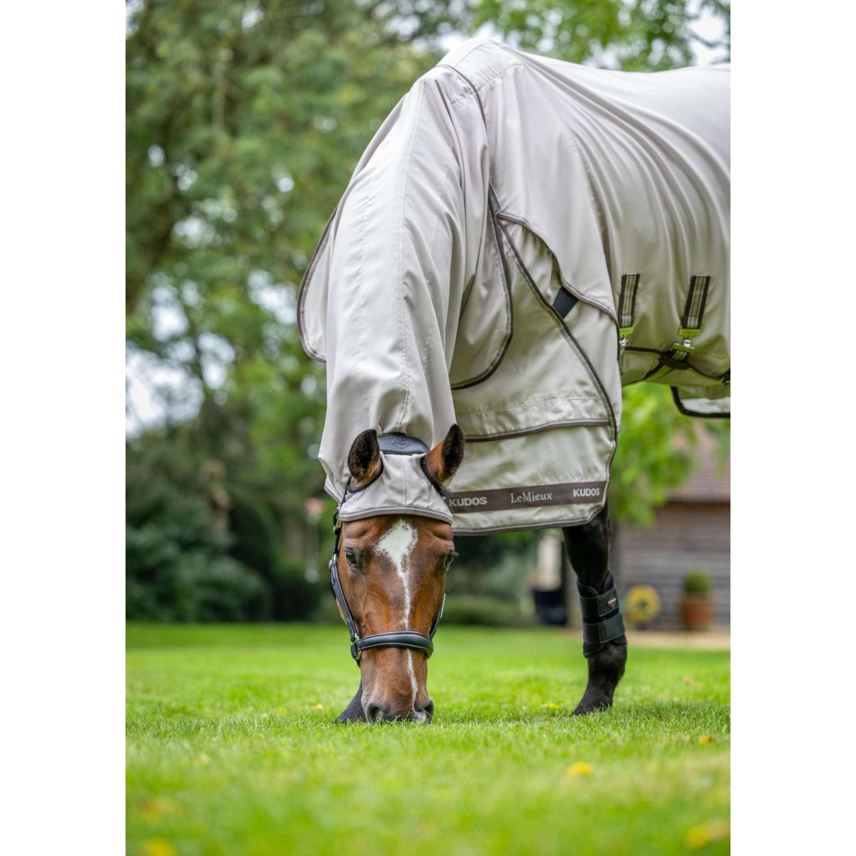 LeMieux Eczema Rug Kudos Sweet Itch SS26 Stone