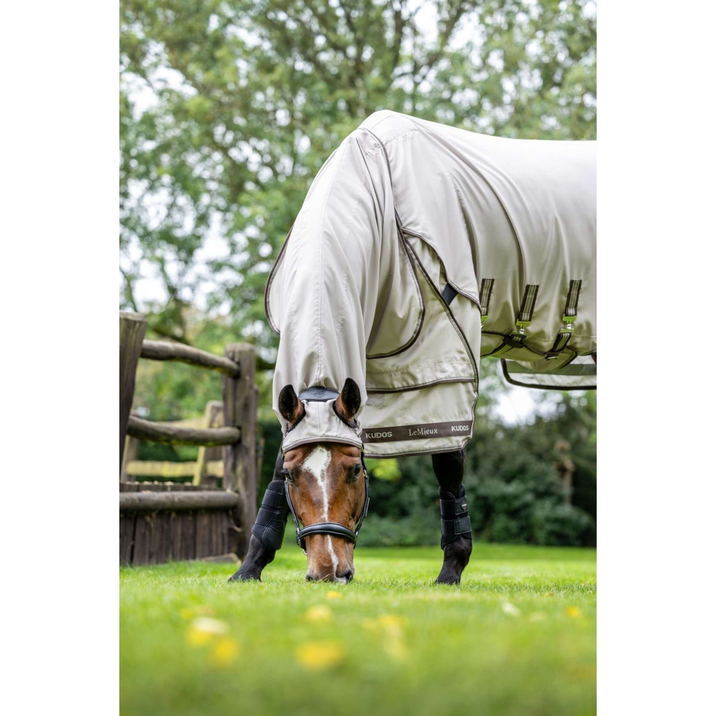 LeMieux Eczema Rug Kudos Sweet Itch SS26 Stone