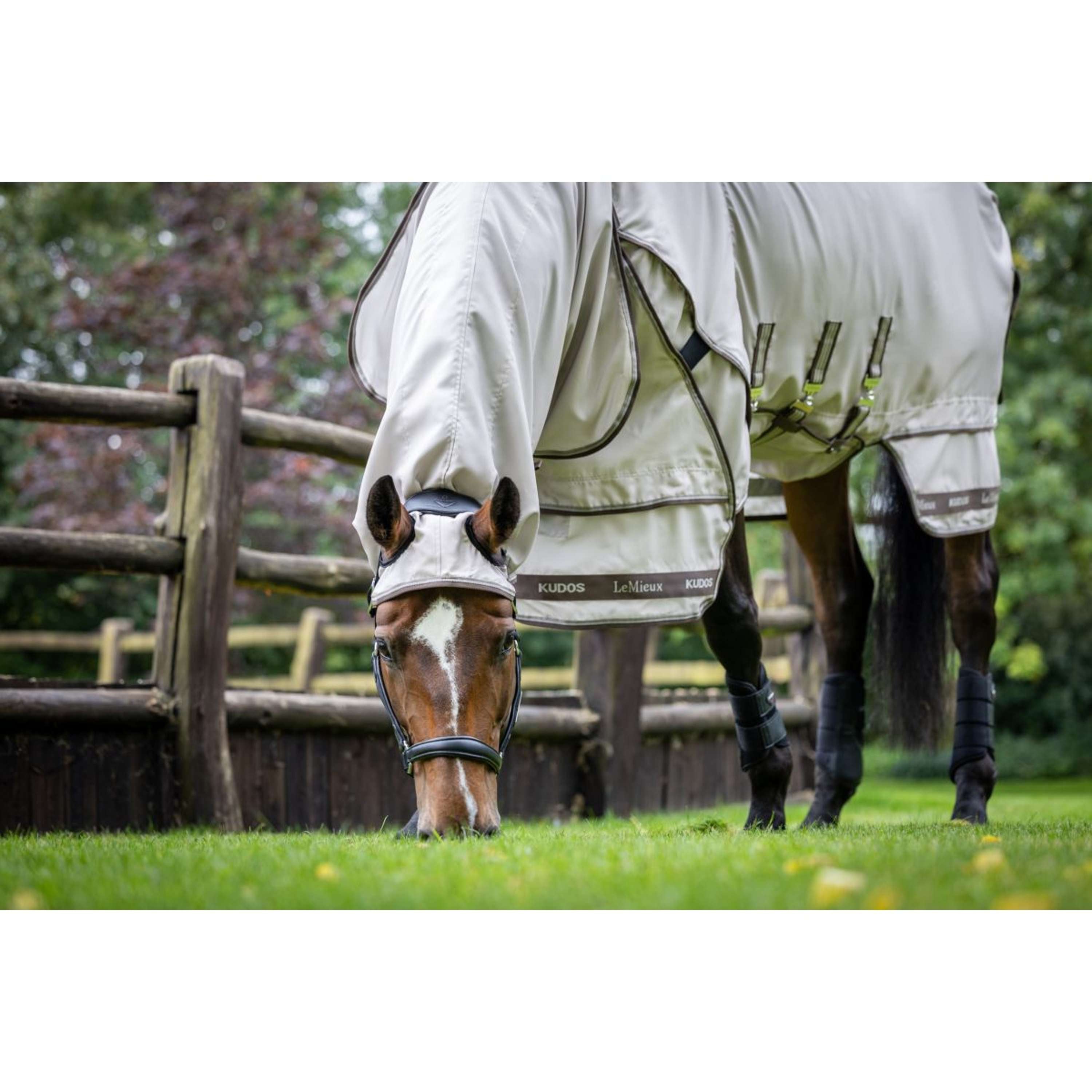LeMieux Eczema Rug Kudos Sweet Itch SS26 Stone