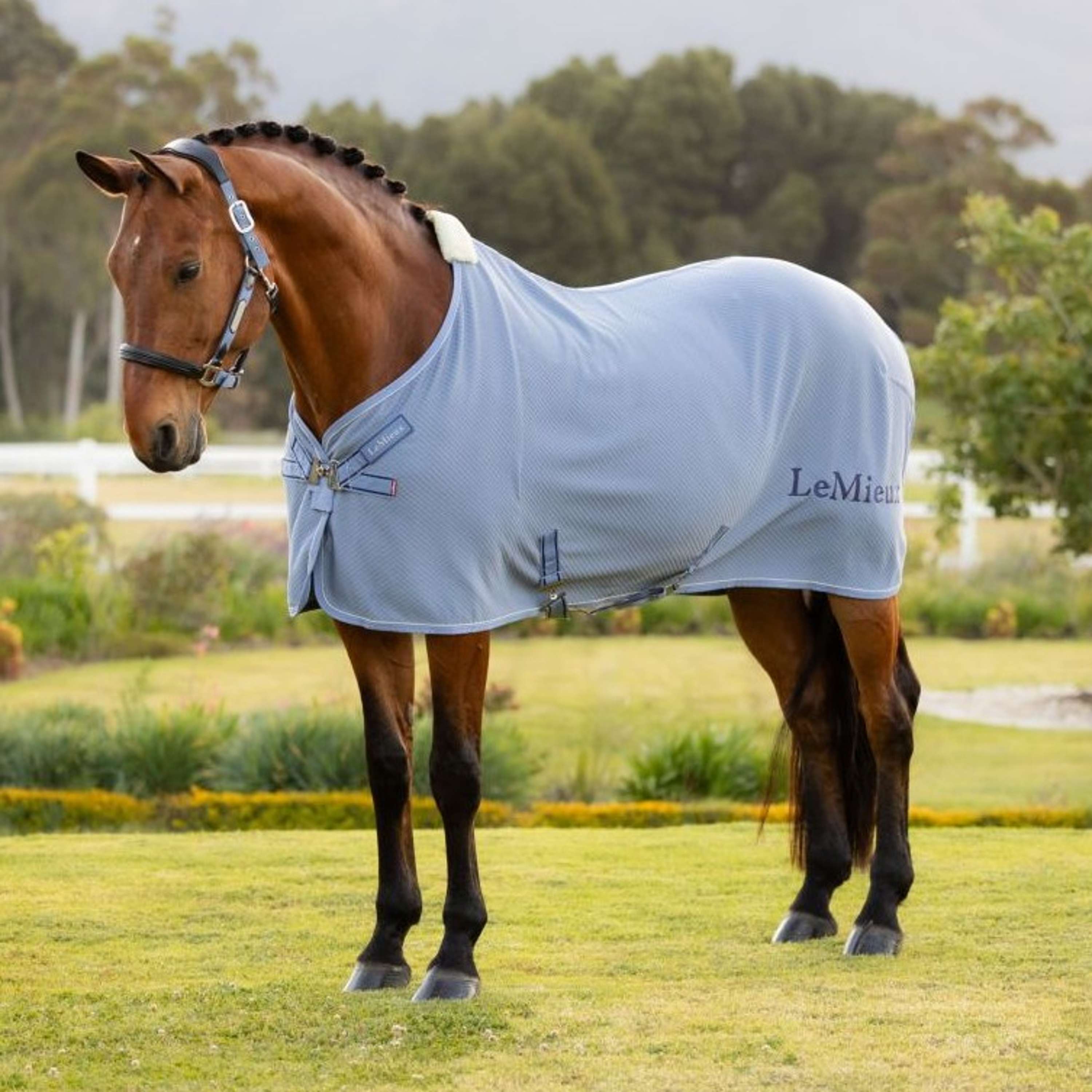 LeMieux Cooler Kudos Bamboo Powder Blue