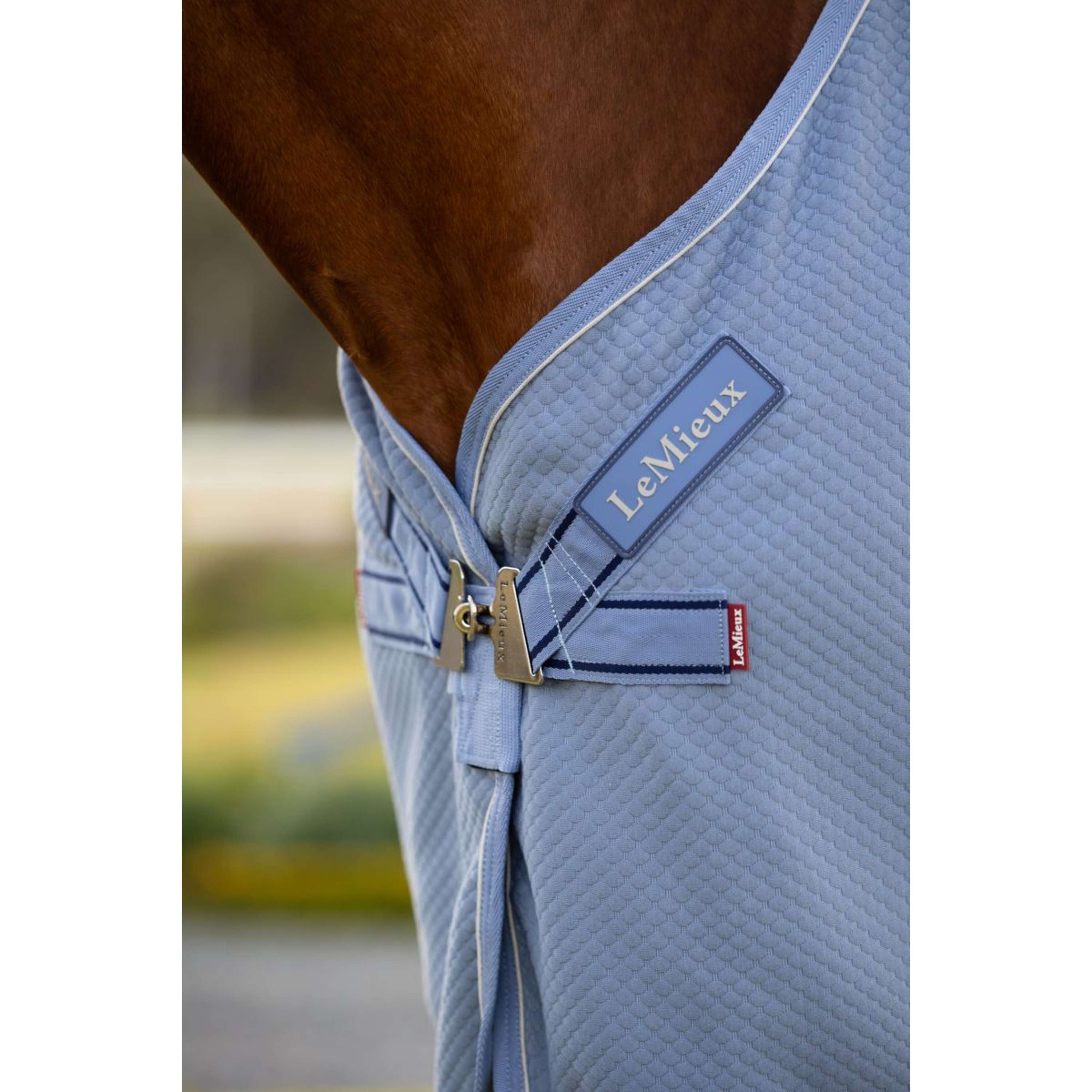 LeMieux Cooler Kudos Bamboo Powder Blue | Agradi.com