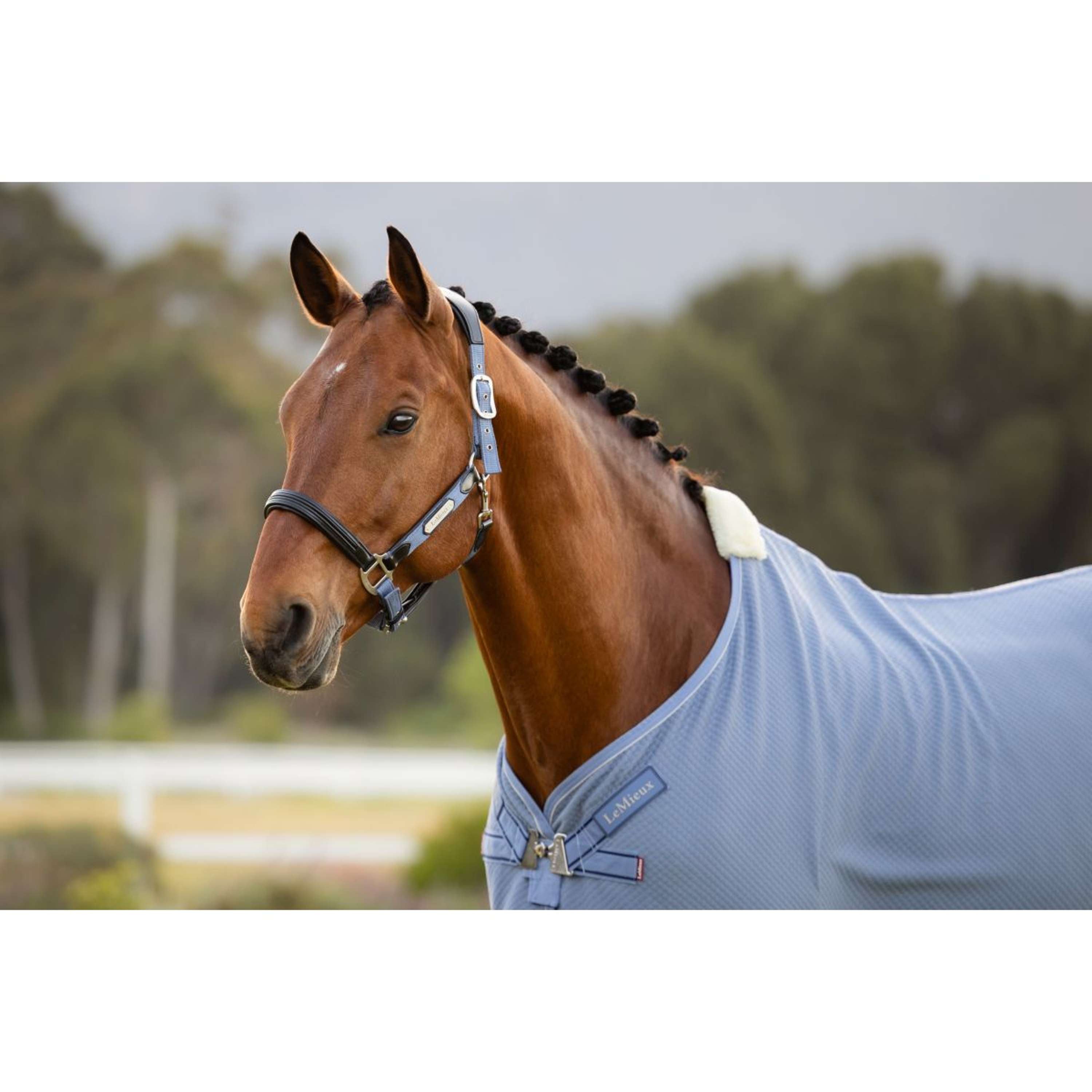 LeMieux Cooler Kudos Bamboo Powder Blue | Agradi.com