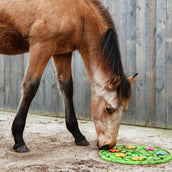 Excellent Sniffing Mat Horse Flower Power