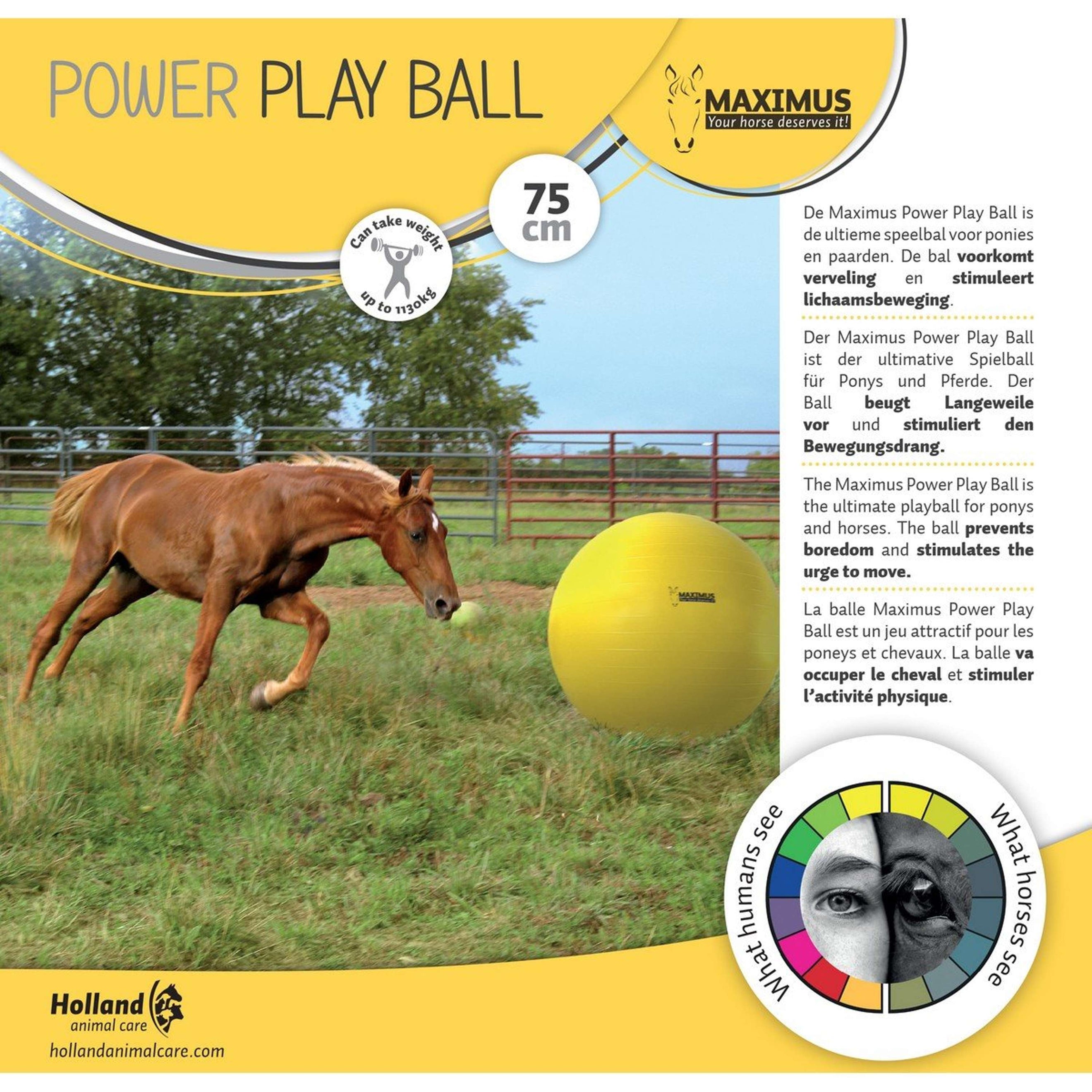 Maximus Power Play Ball Yellow Maximus Power Play Ball Yellow