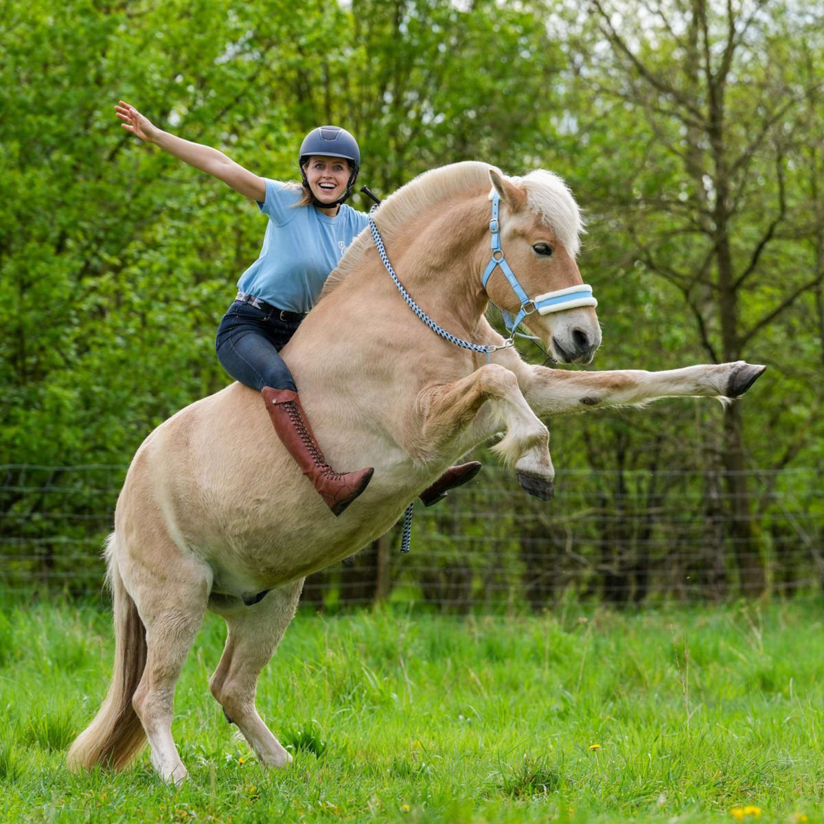 Hoefwijzer Halter Lightblue