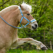 Hoefwijzer Halter Lightblue