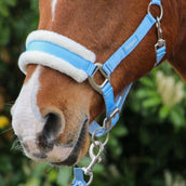 Hoefwijzer Halter Lightblue