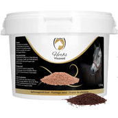 Excellent Psyllium Husk Herbs