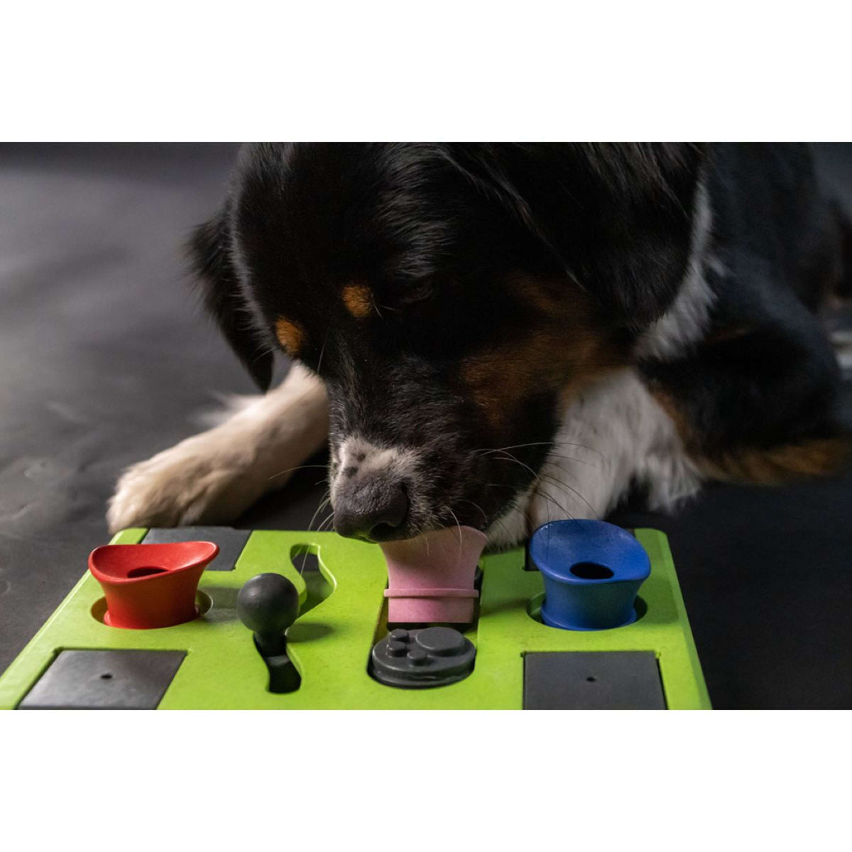 Eat Slow Live Longer Interactive Toy Puzzle Rectangle