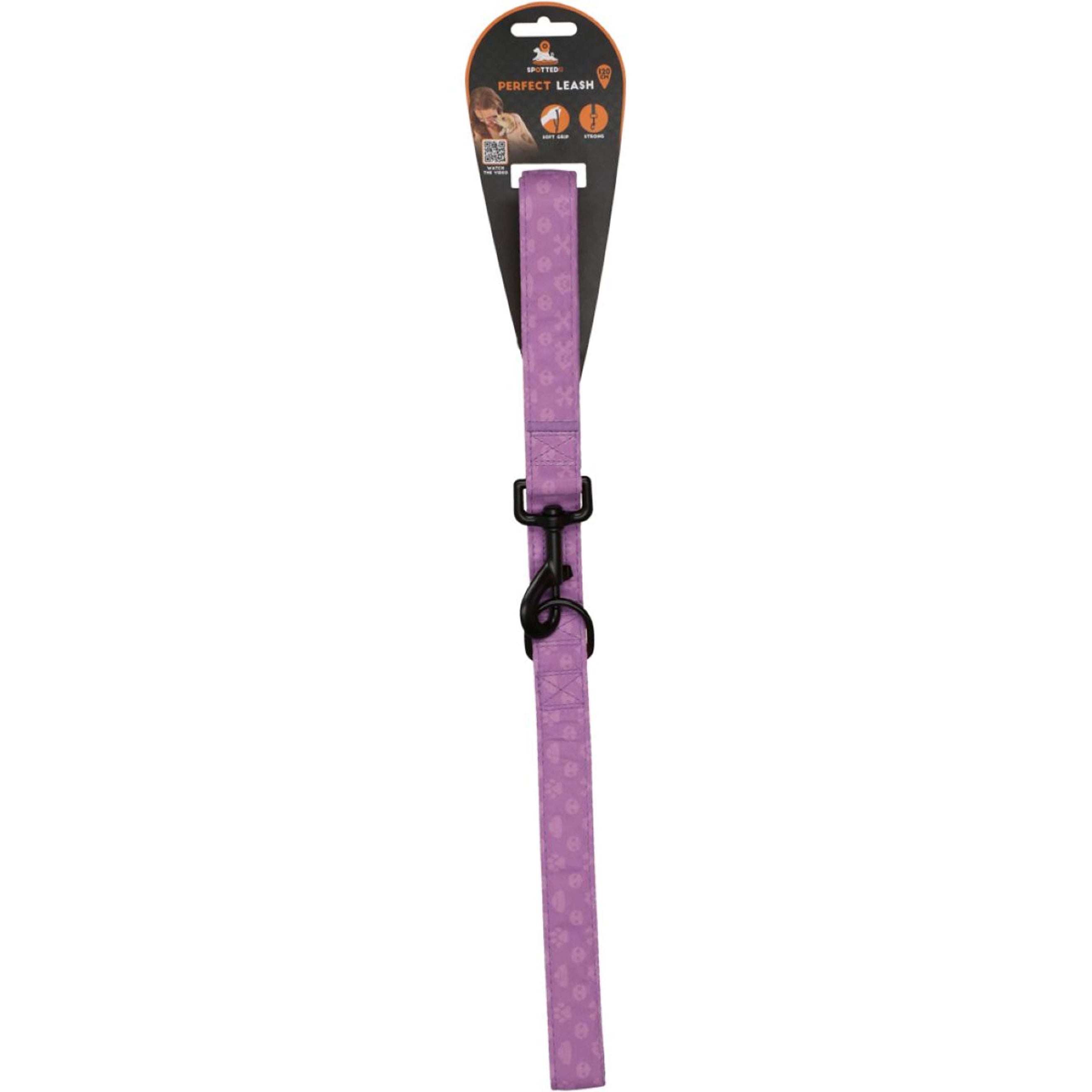 Spotted Pro! Dog Leash Purple