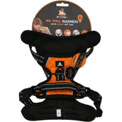 Spotted Pro! Dog Harness Orange