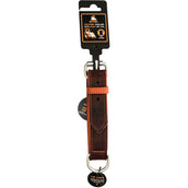 Spotted Pro! Dog Collar Leather Brown