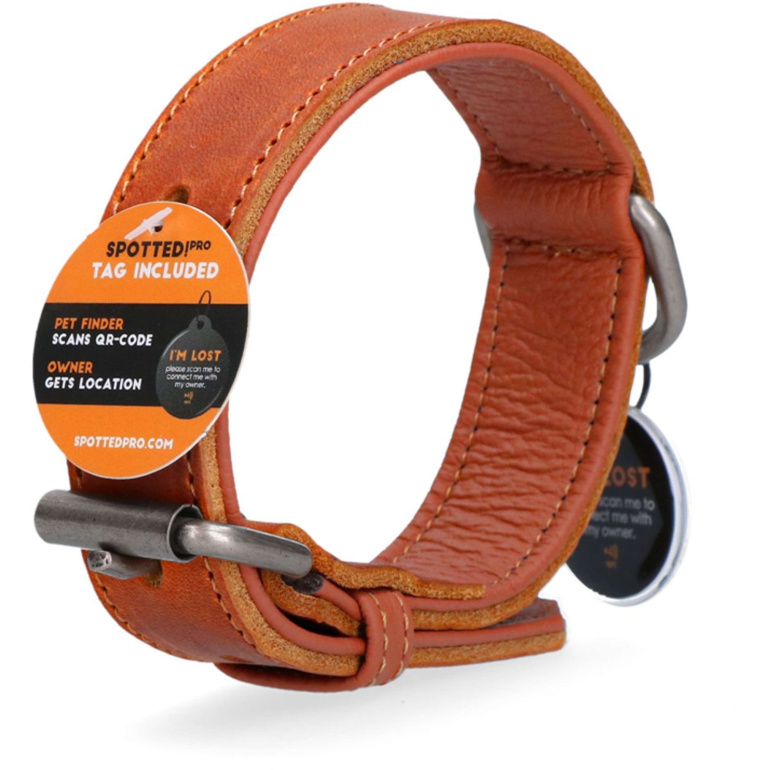 Spotted Pro! Dog Collar Leather Cognac