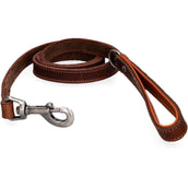 Spotted Pro! Dog Leash Leather Brown