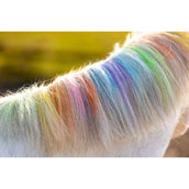 Paardenpraat Hair Chalk