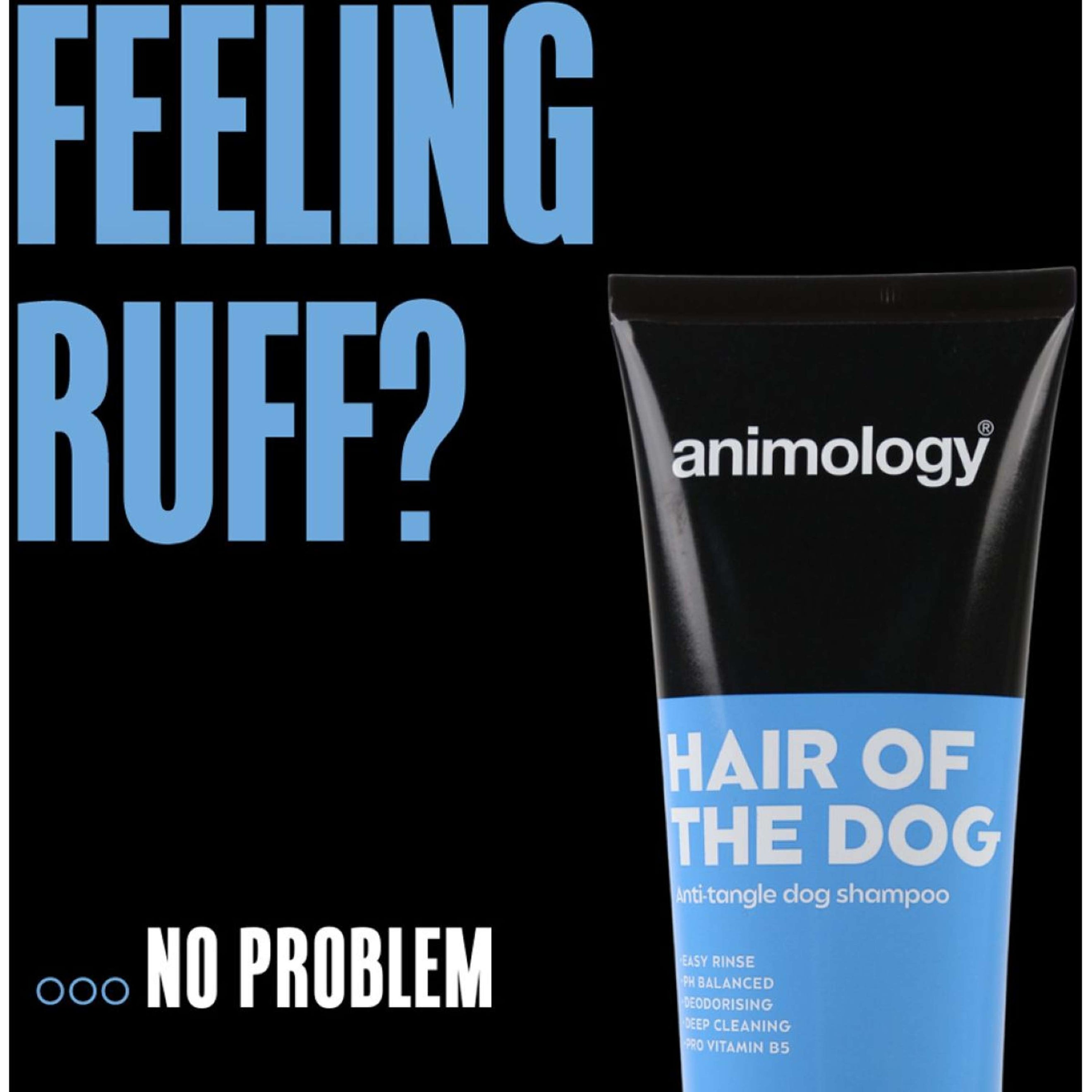 Animology Shampoo Hair Of The Dog