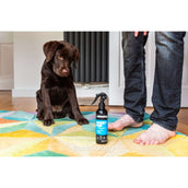 Animology Shampoo Spray Mucky Pup No Rinse