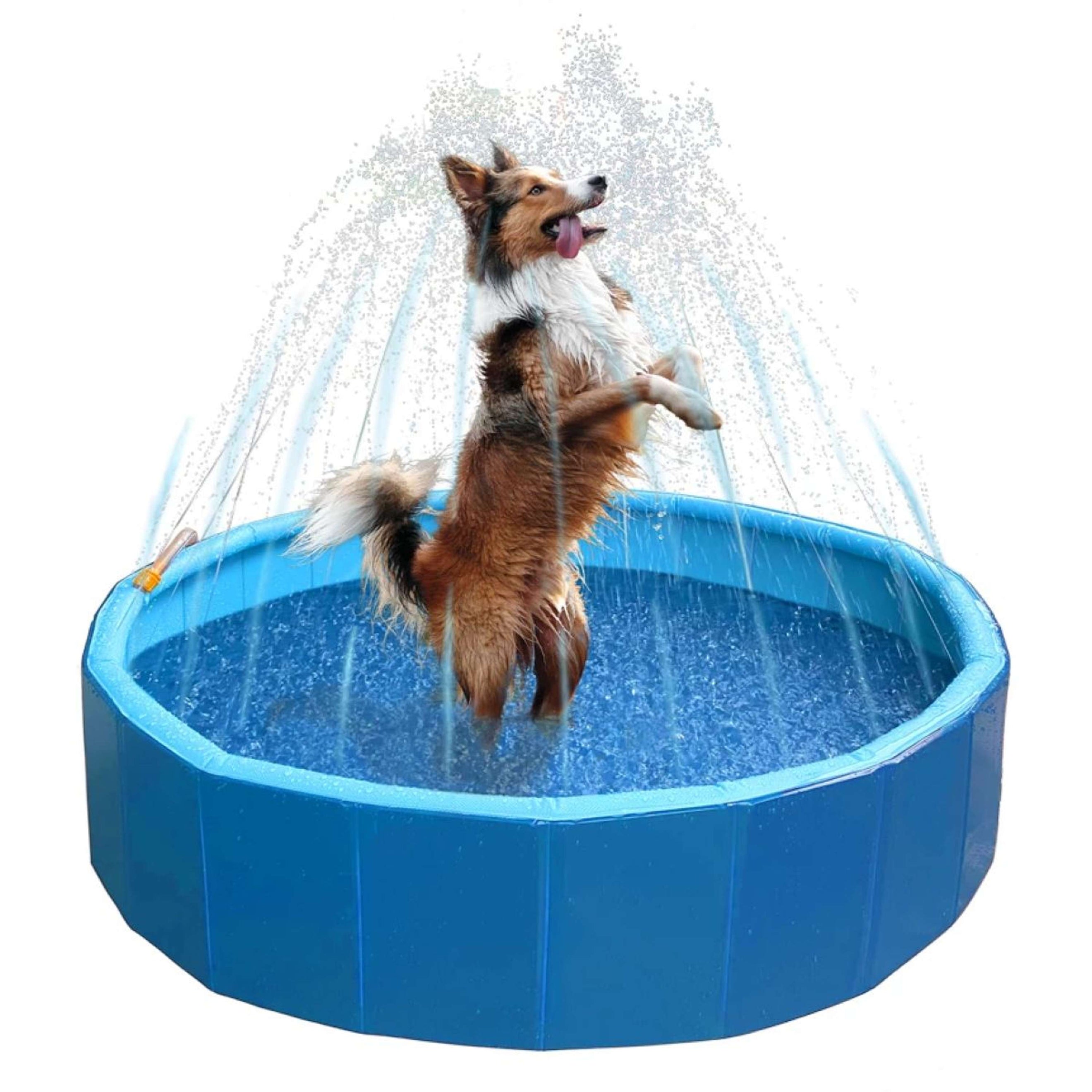 Coolpets Pool Splash Sprinkler