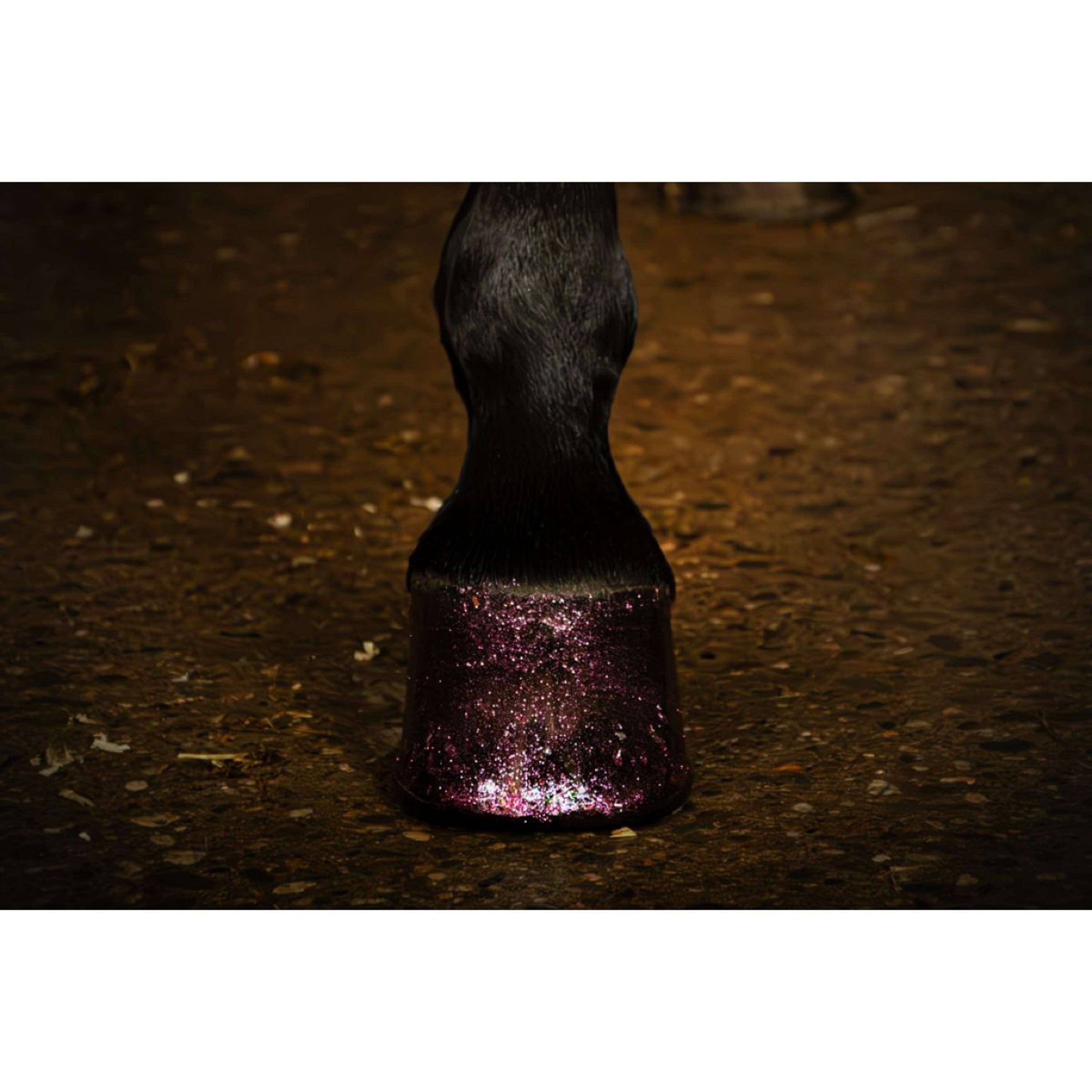 Excellent Hoof Polish Hi Gloss Glitter Pink Excellent Hoof Polish Hi Gloss Glitter Pink