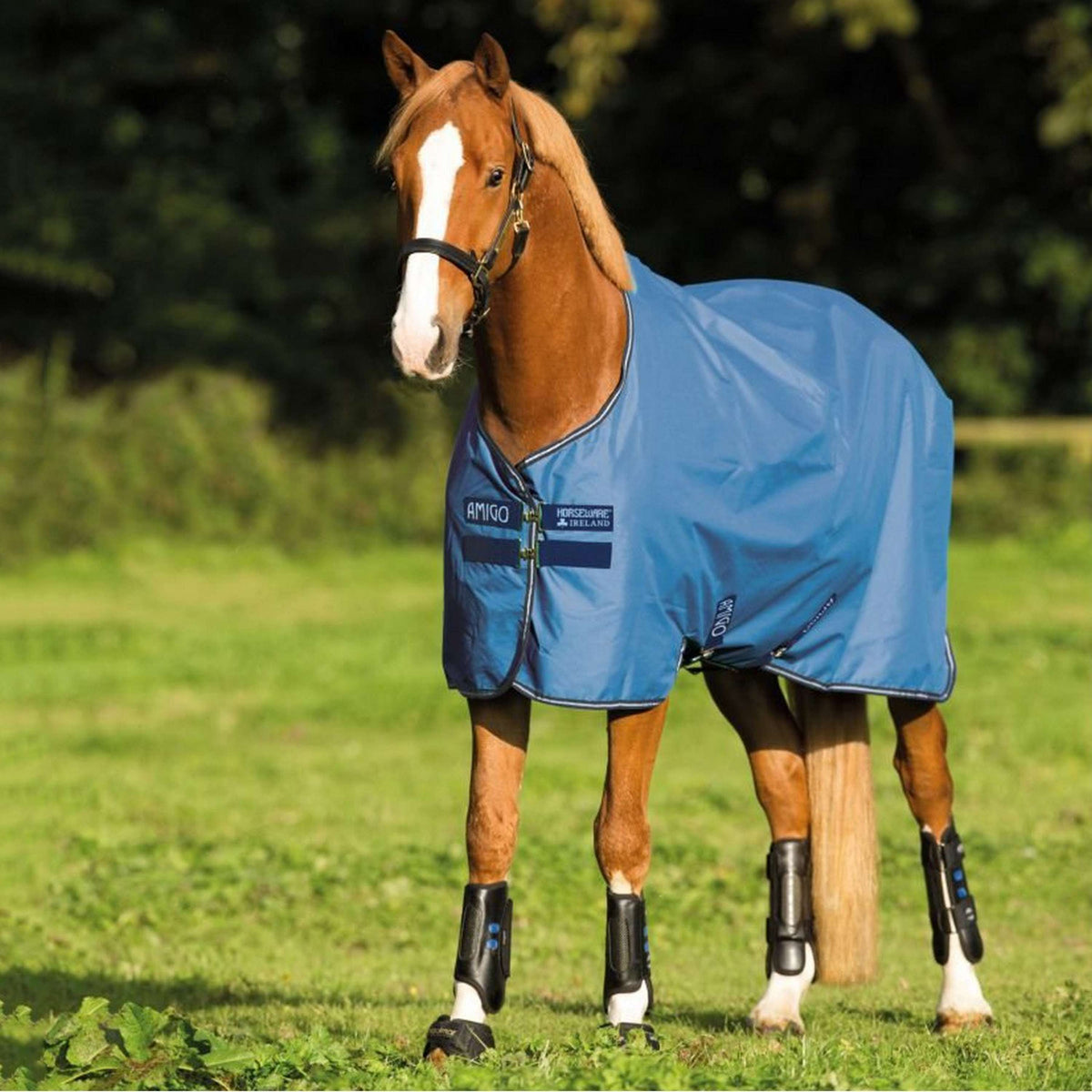 Amigo Turnout Lite Hero 900 50g Colony Blau/Blaubell