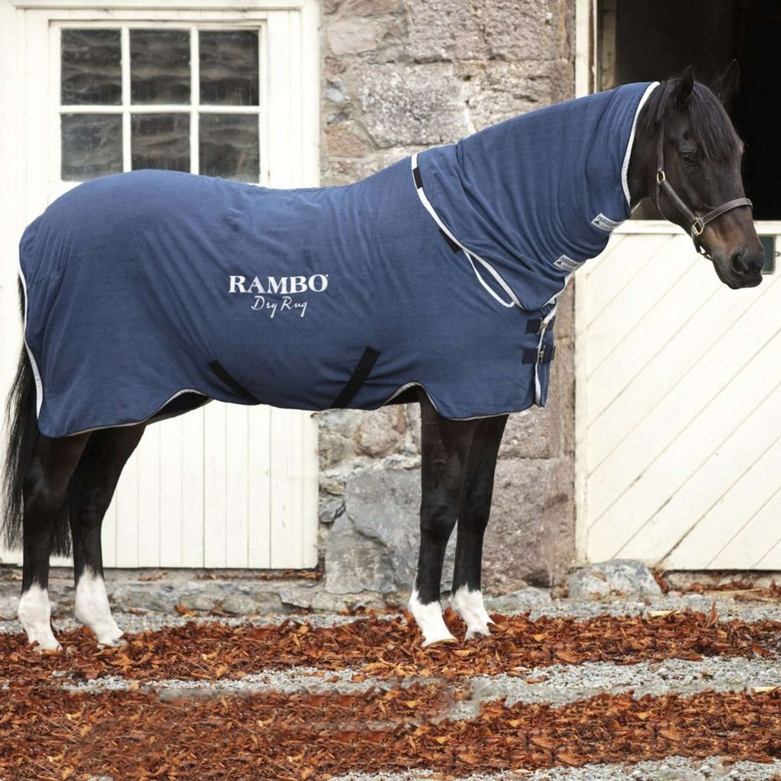 Rambo Dry Rug Navy/Silver