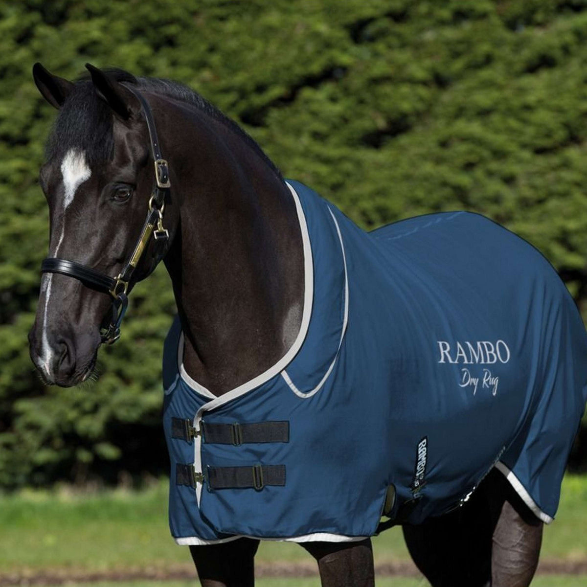 Rambo Dry Rug Supreme Navy/Silver