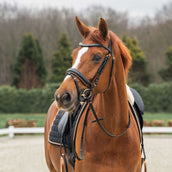 HORKA Bridle Deluxe Black/Rosé