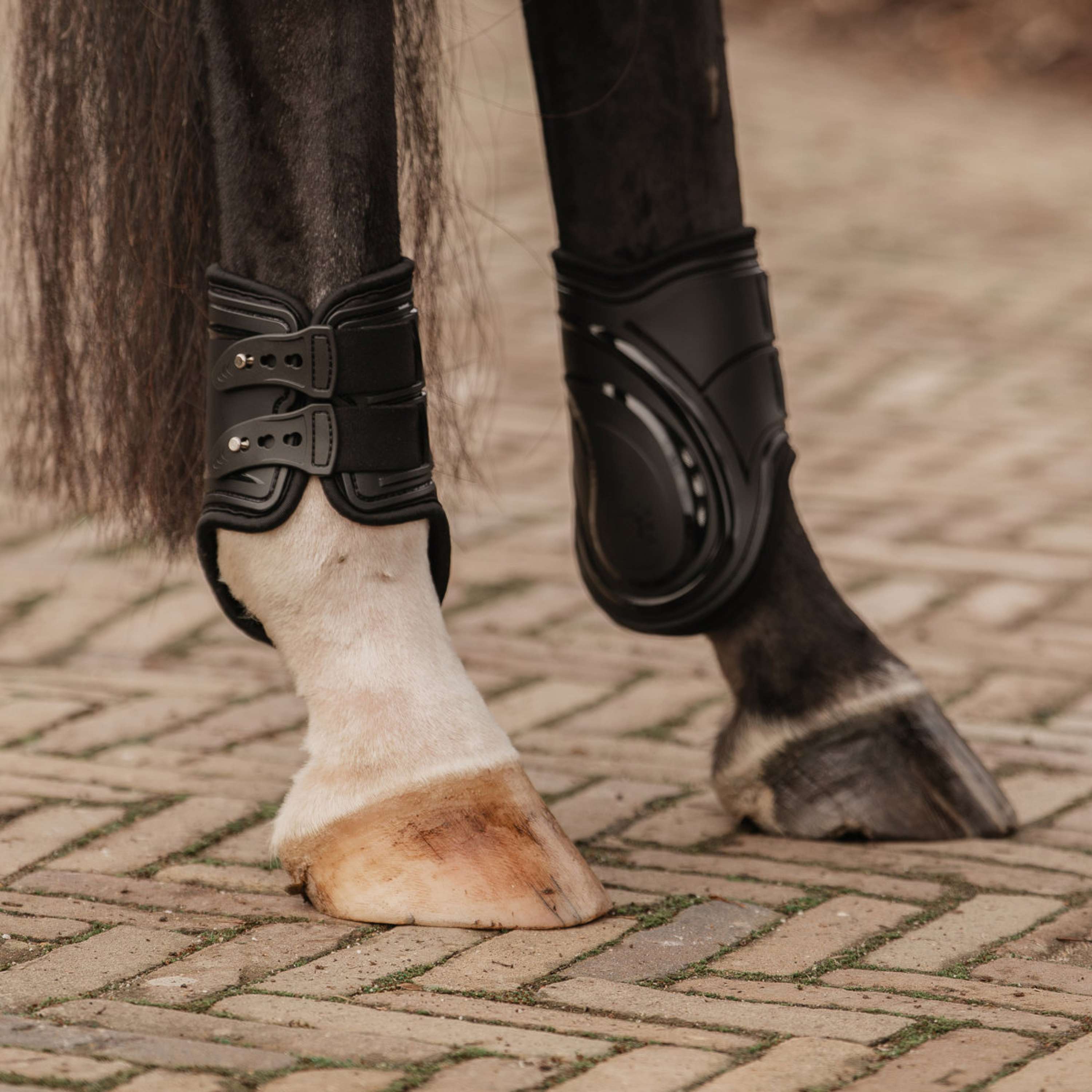 EQPRO Fetlock Boots Pro Black
