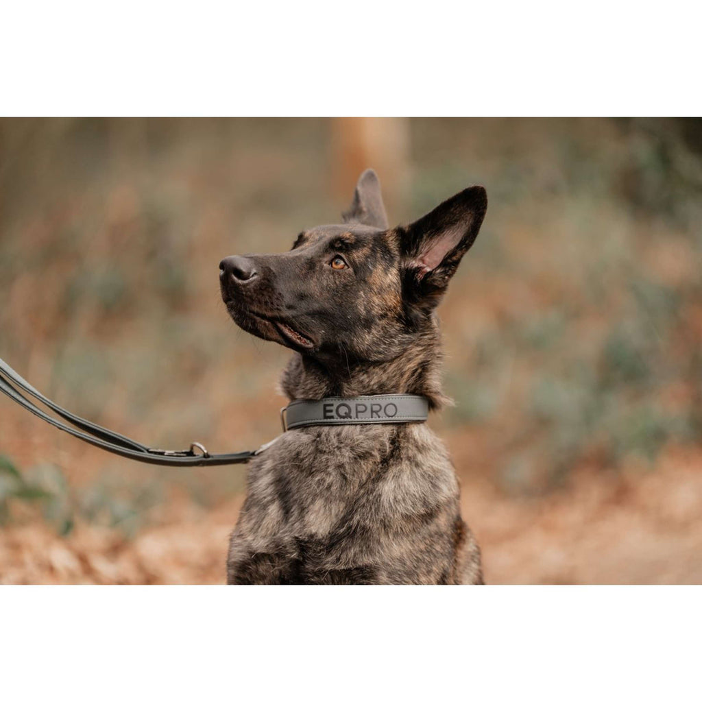 EQPRO Collar and Leash Softshell Shadow Steel