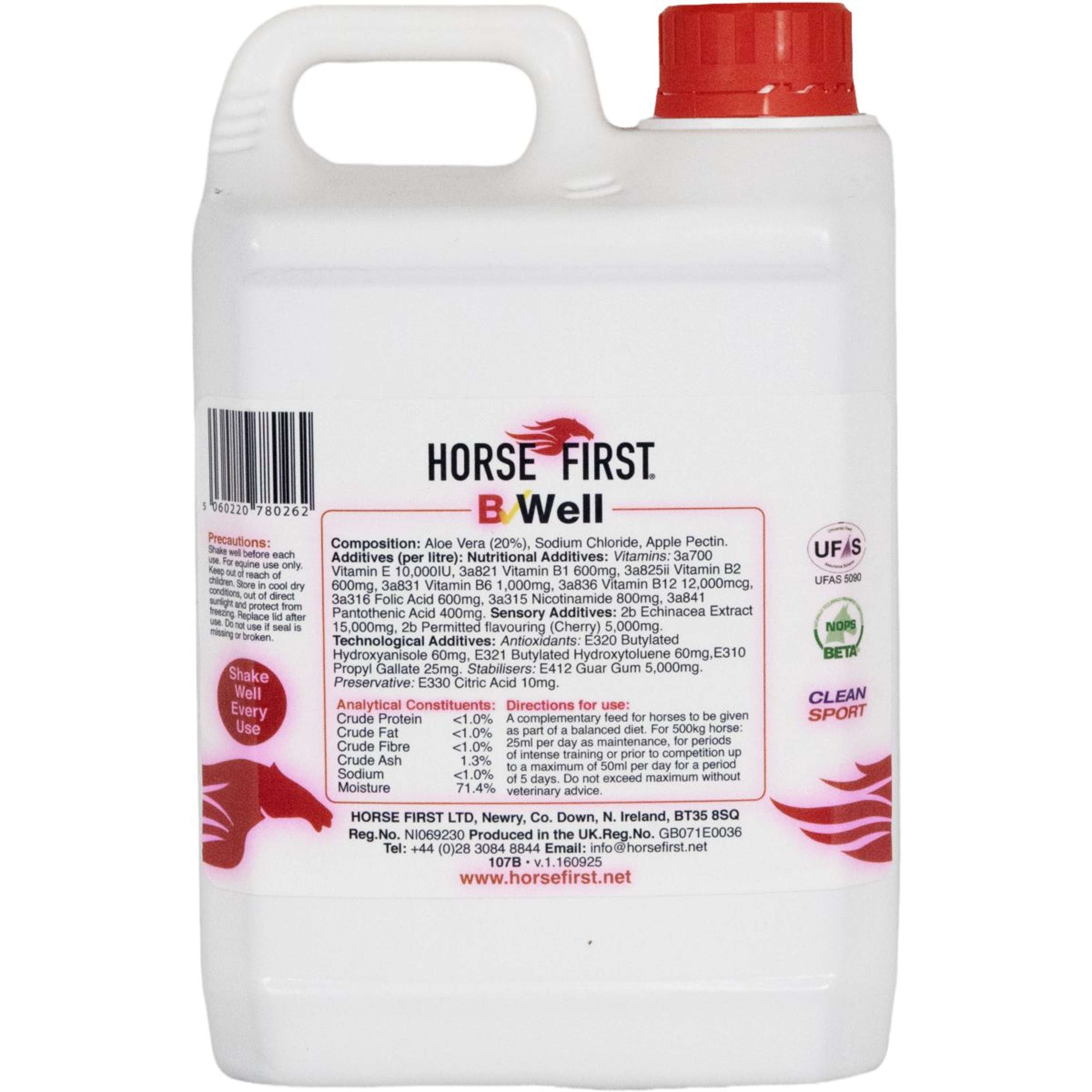 HorseFirst B Well