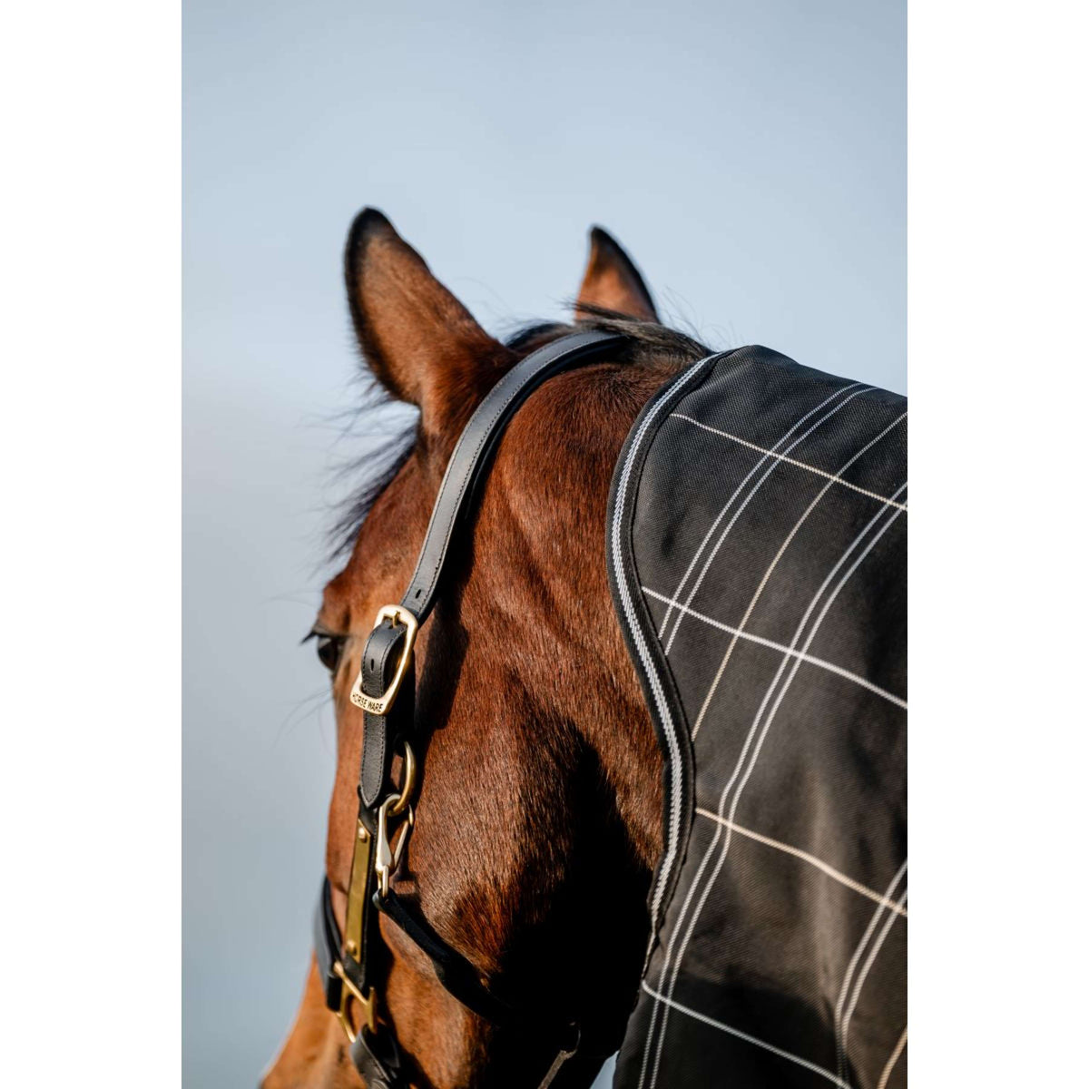 Rhino Plus Turnout Bundle 0g + 200g Black Check/Black/White