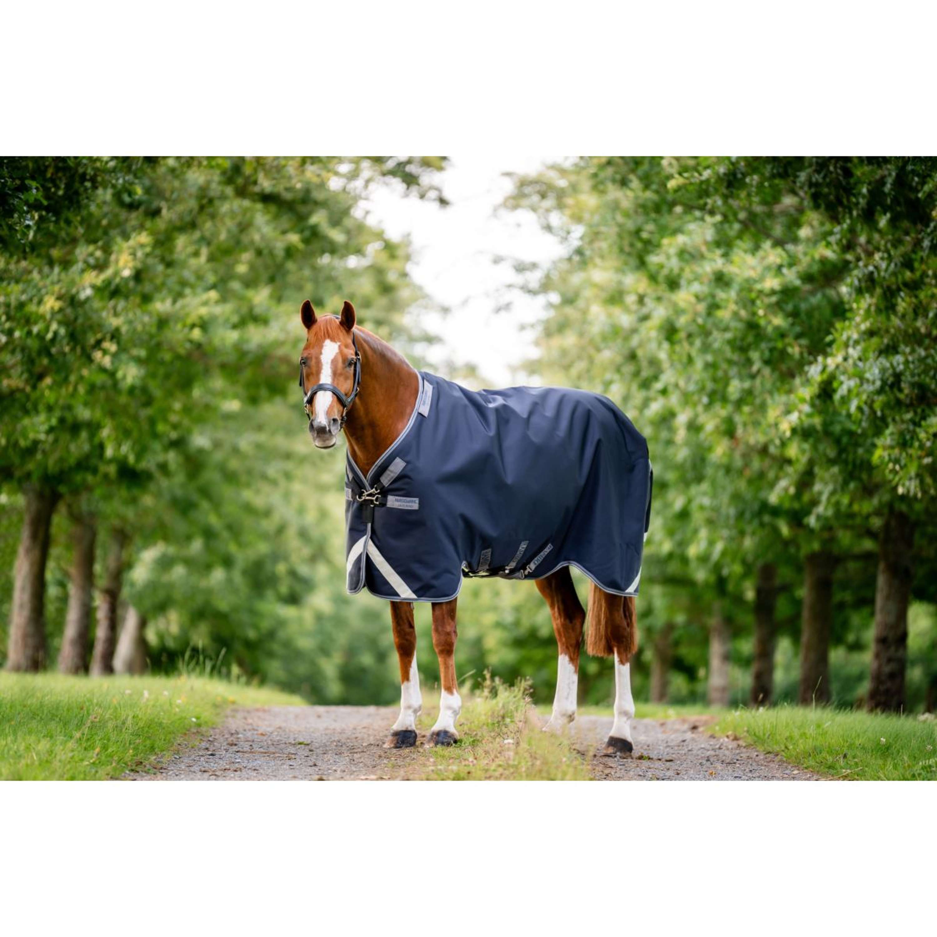 Rambo Turnout Rug 1680D Varilayer 250g Navy/Thunderstorm Grey/Silver